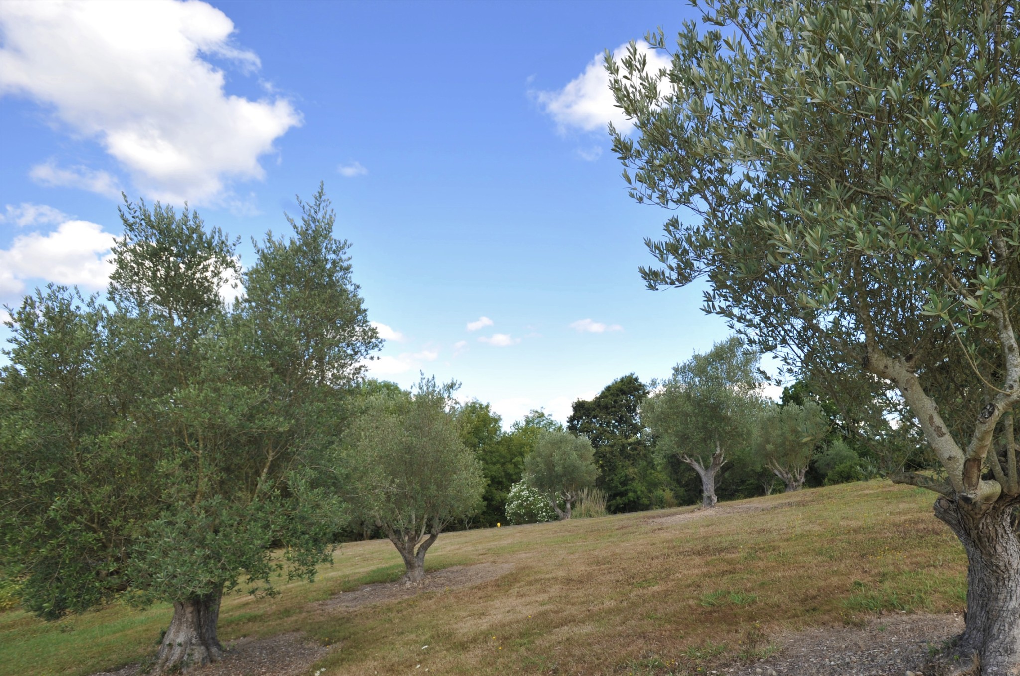 A VENDRE : Terrain à bâtir de 822m2 à Saint-Martin-de-Hinx — photo 1
