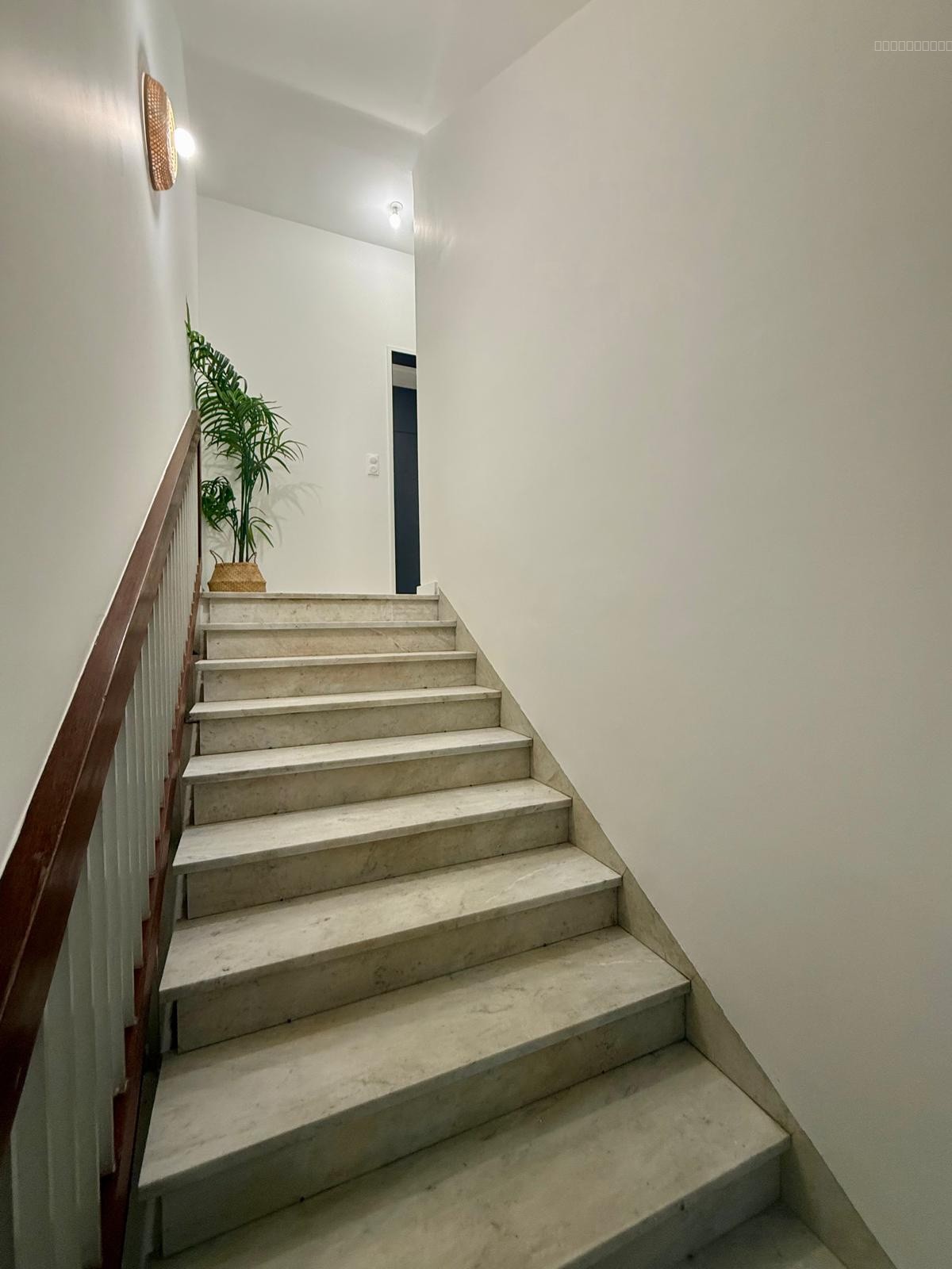 BORDEAUX Croix-Blanche   AppartementT3 Idéal profession libérale — photo 7