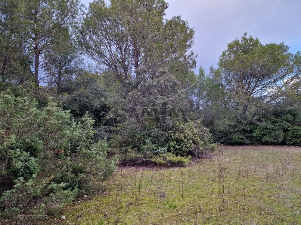 À VENDRE TERRAIN DE LOISIRS NON CONSTRUCTIBLE- SECTEUR MUS — photo 2
