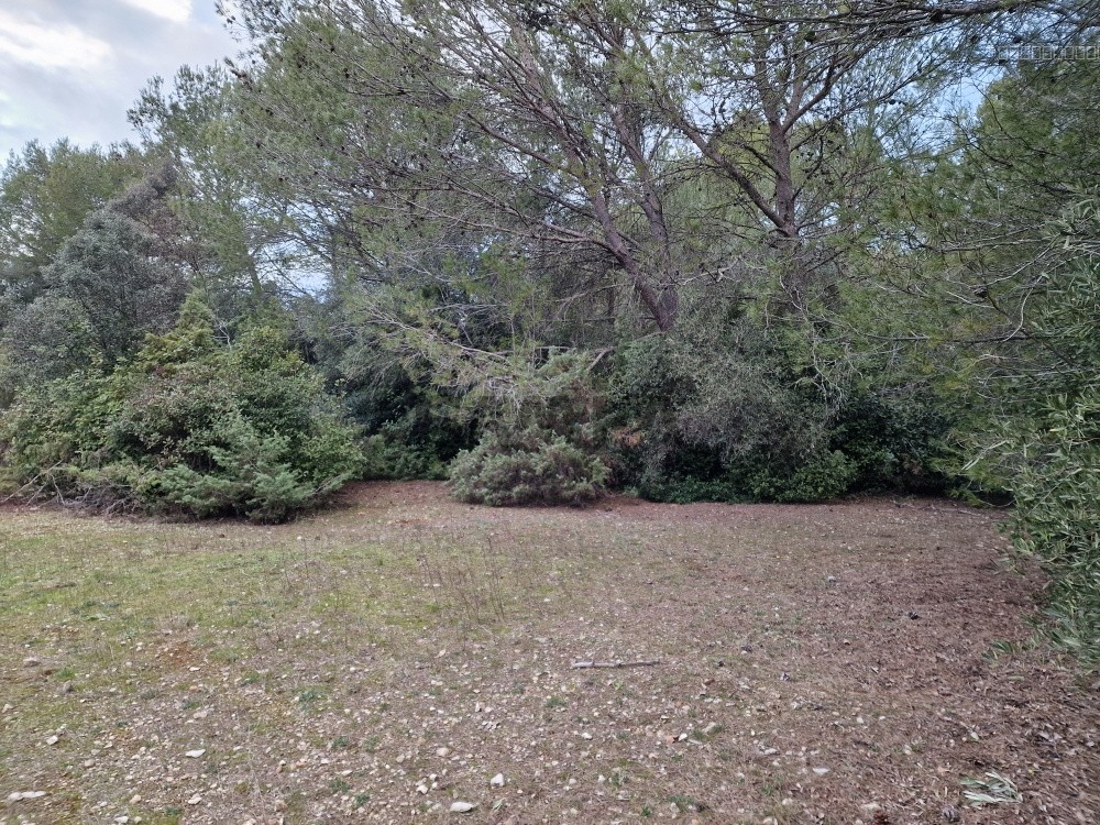À VENDRE TERRAIN DE LOISIRS NON CONSTRUCTIBLE- SECTEUR MUS — photo 3