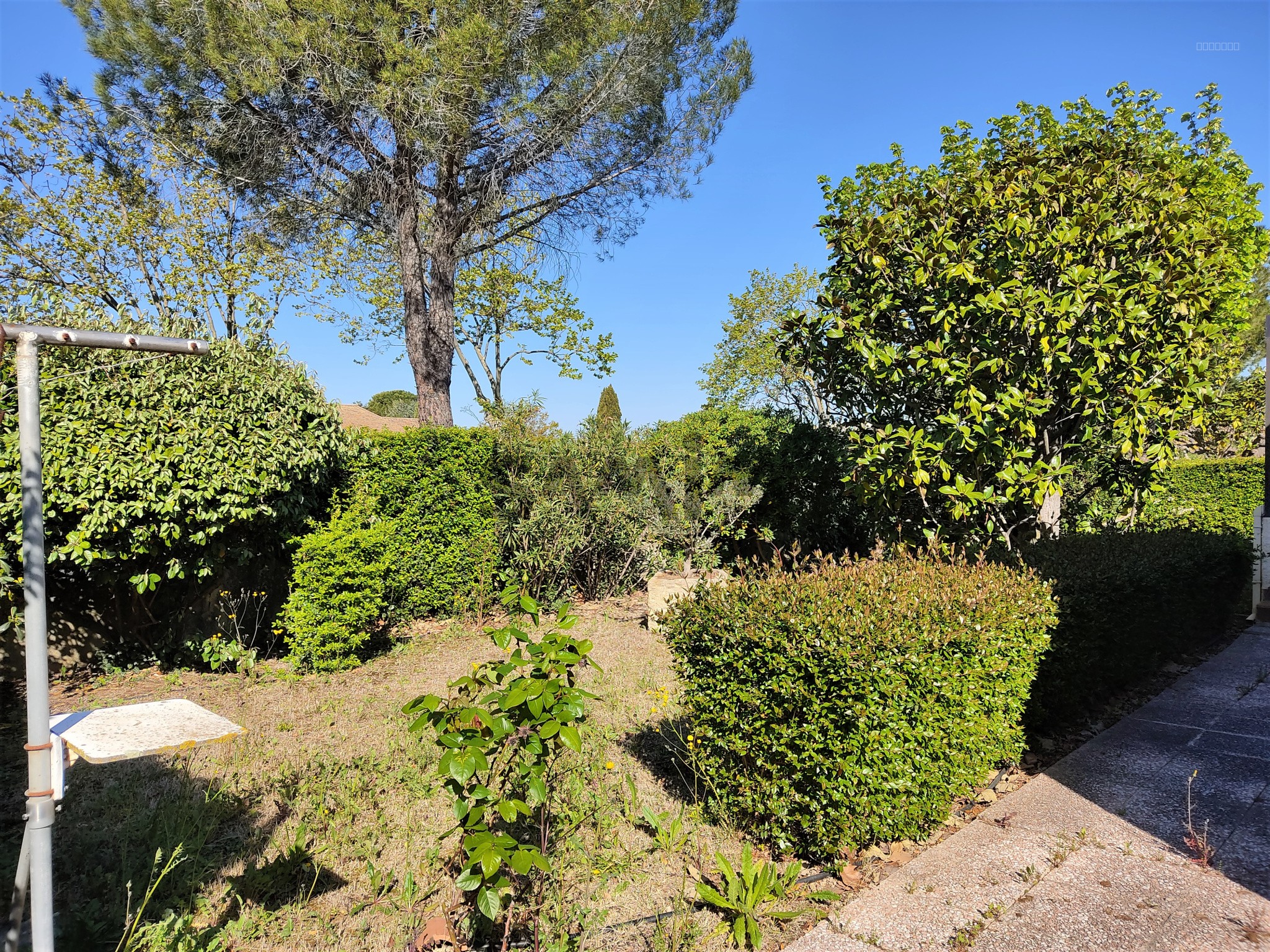 A VENDRE - VILLA PLAIN PIED SUR JARDIN ARBORÉ - LANGLADE — photo 3