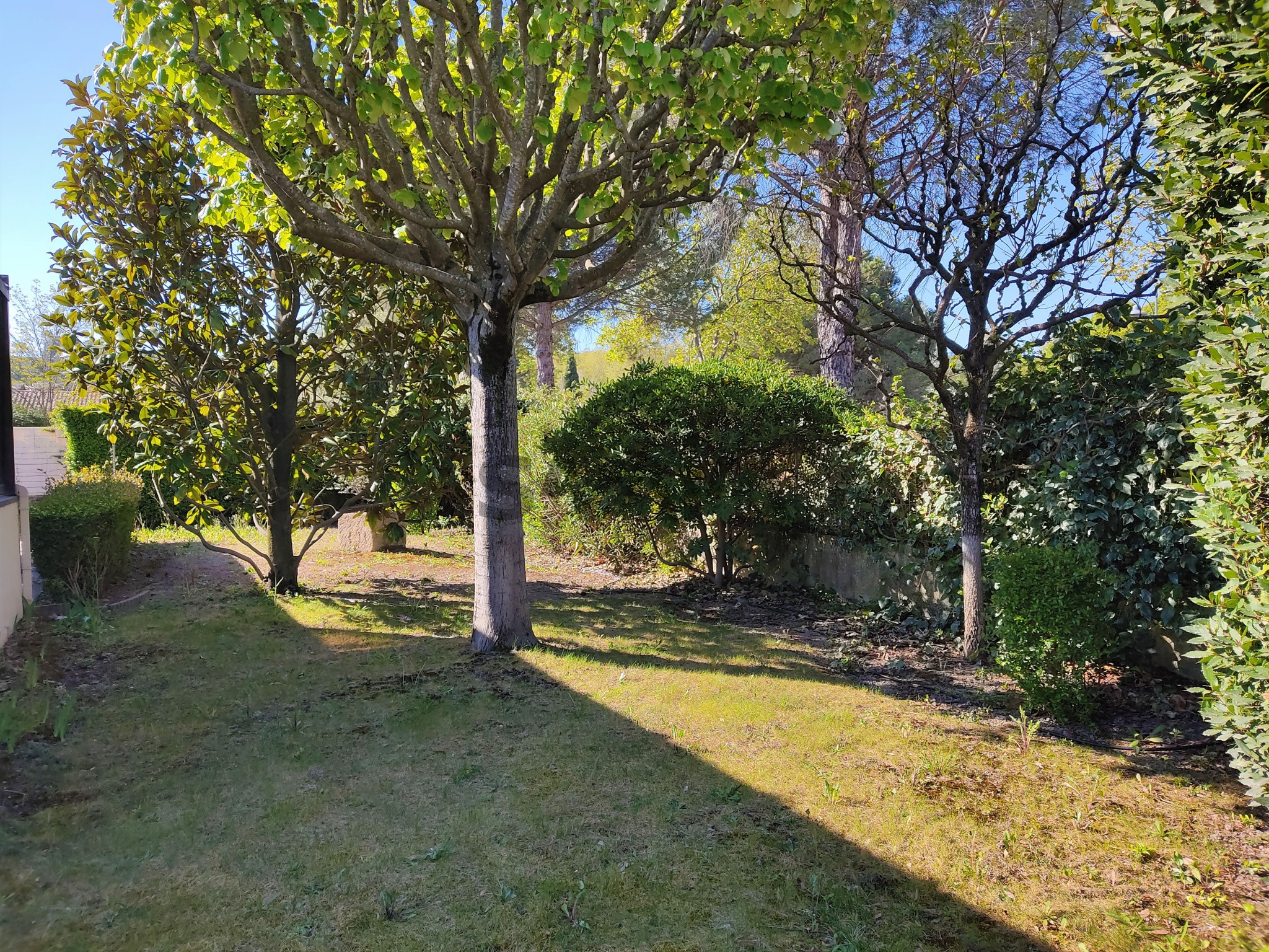 A VENDRE - VILLA PLAIN PIED SUR JARDIN ARBORÉ - LANGLADE — photo 7
