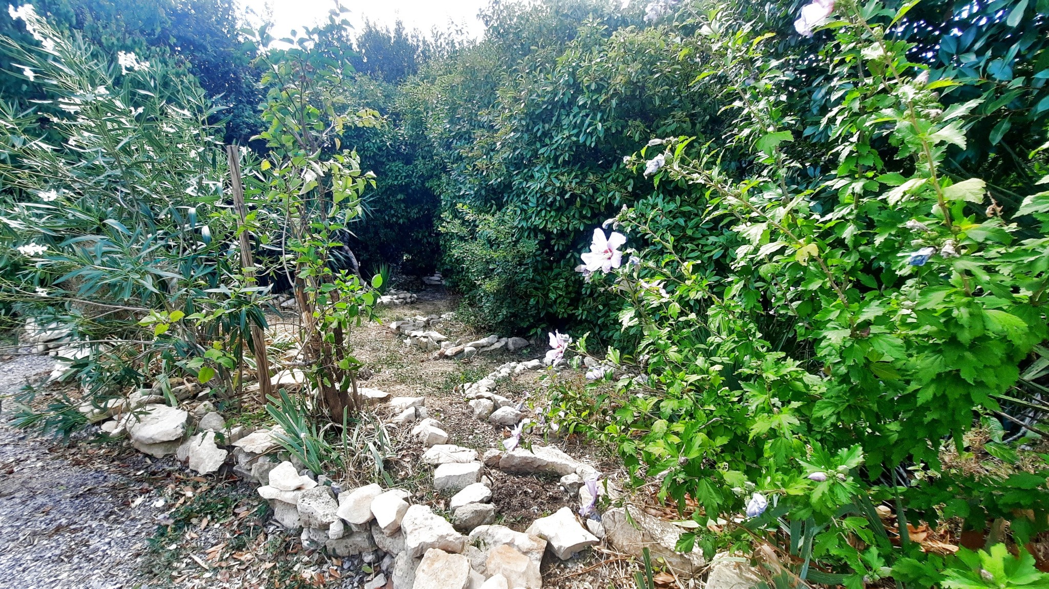 À VENDRE  SECTEUR QUISSAC  VILLA PLAIN PIED — photo 2