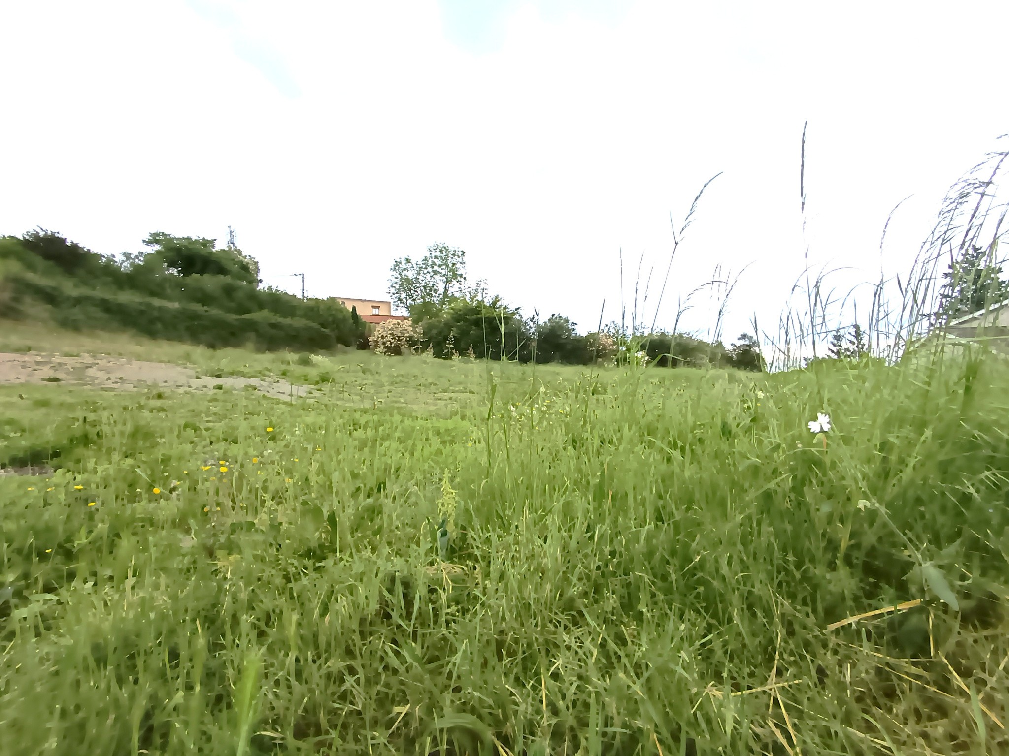 JOLI TERRAIN A BATIR PLAT 1005M2 / VIABILISE / 5min RIOM / PROMPSAT — photo 15