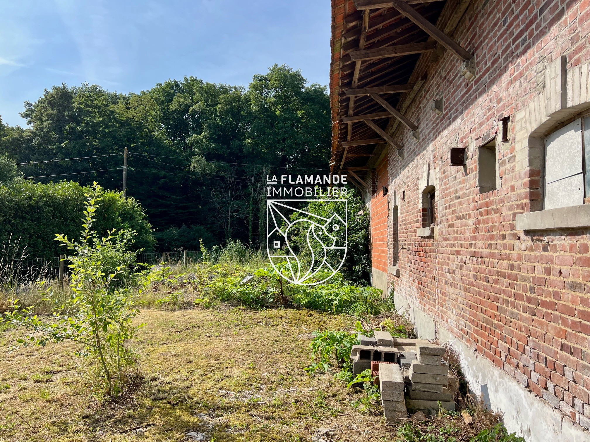 Ancienne ferme/terrain pour projet de rénovation — photo 9