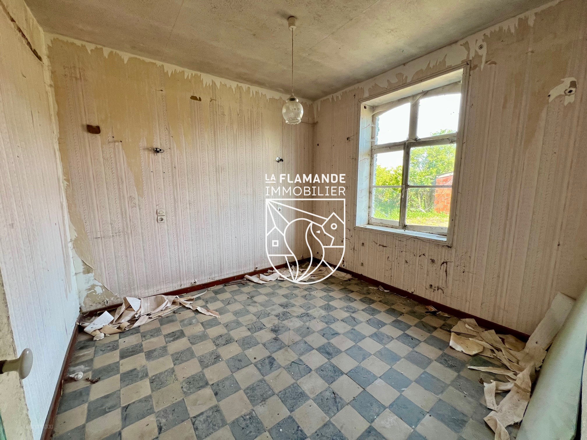 Ancienne ferme/terrain pour projet de rénovation — photo 6