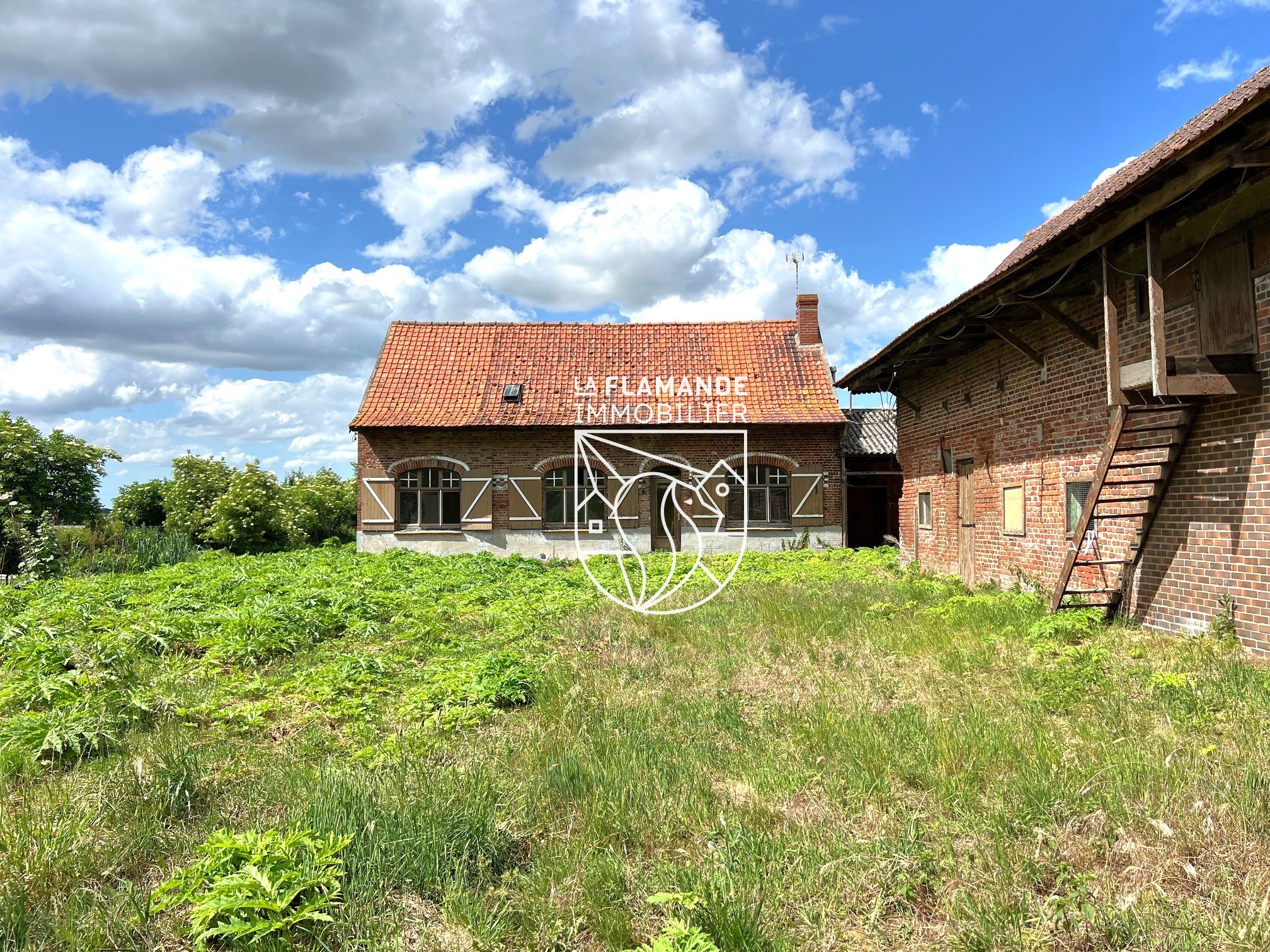 Ancienne ferme/terrain pour projet de rénovation — photo 16