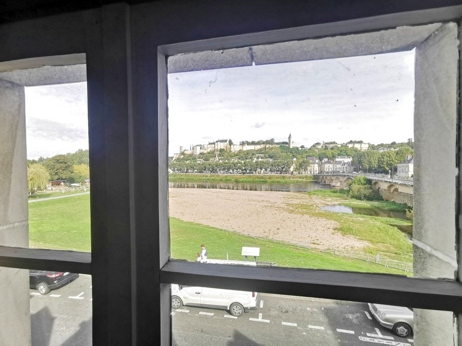 VUE EXCEPTIONNELLE - MAISON DE VILLE AU CŒUR DE CHINON — photo 17