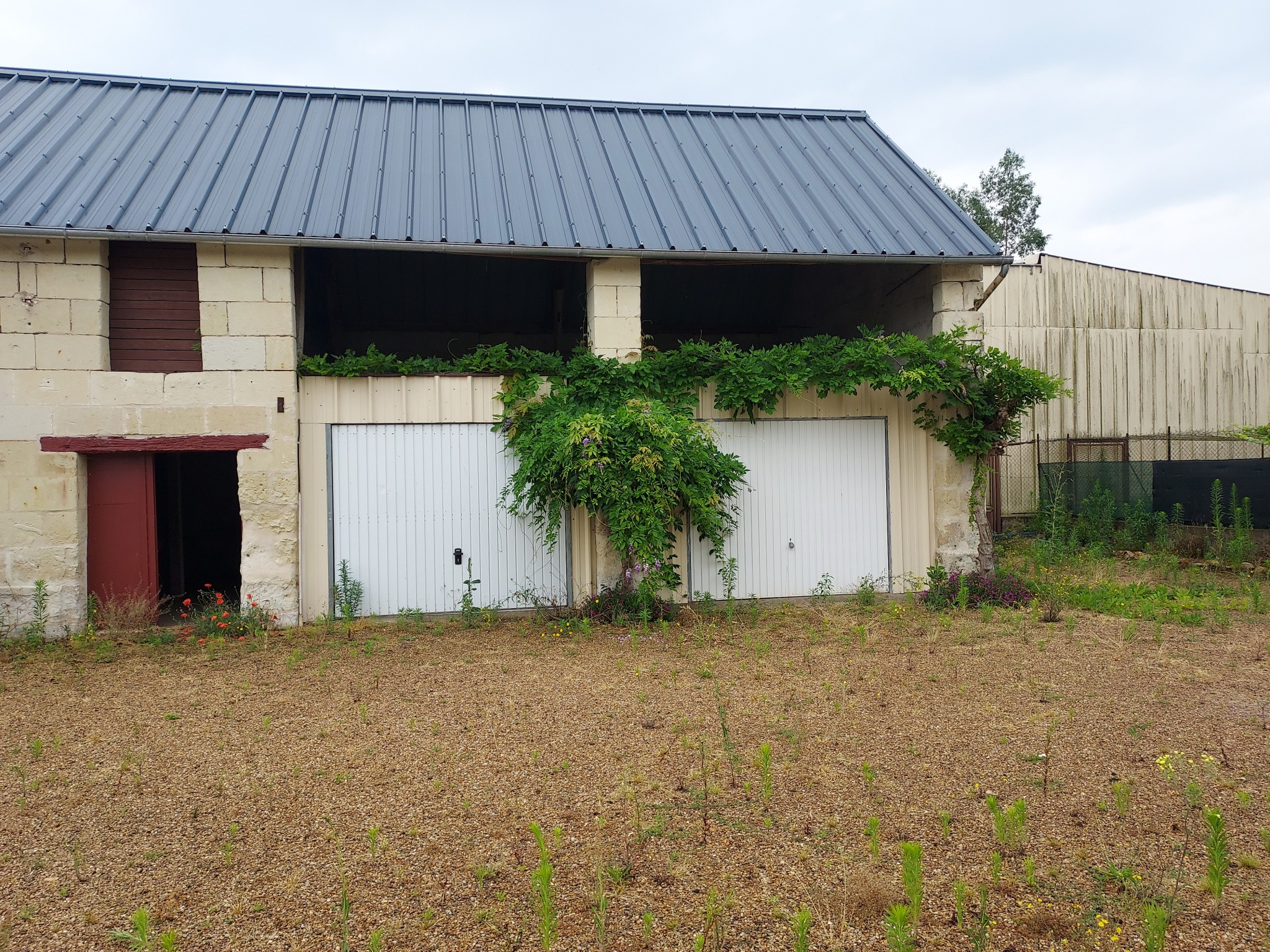 EXCLUSIVITE LIGERIA BOURGUEIL — photo 2