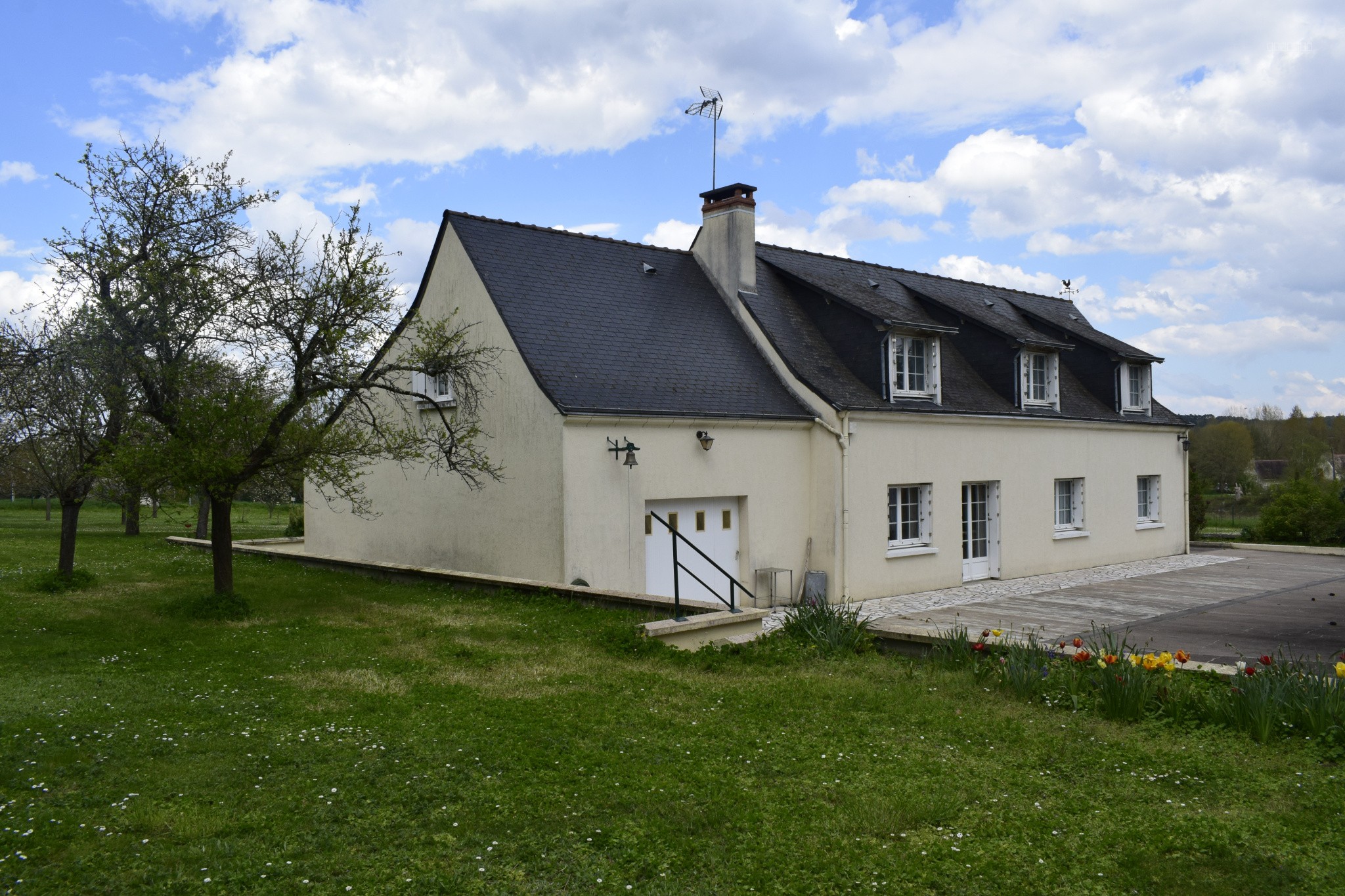 BELLE LONGERE — photo 15