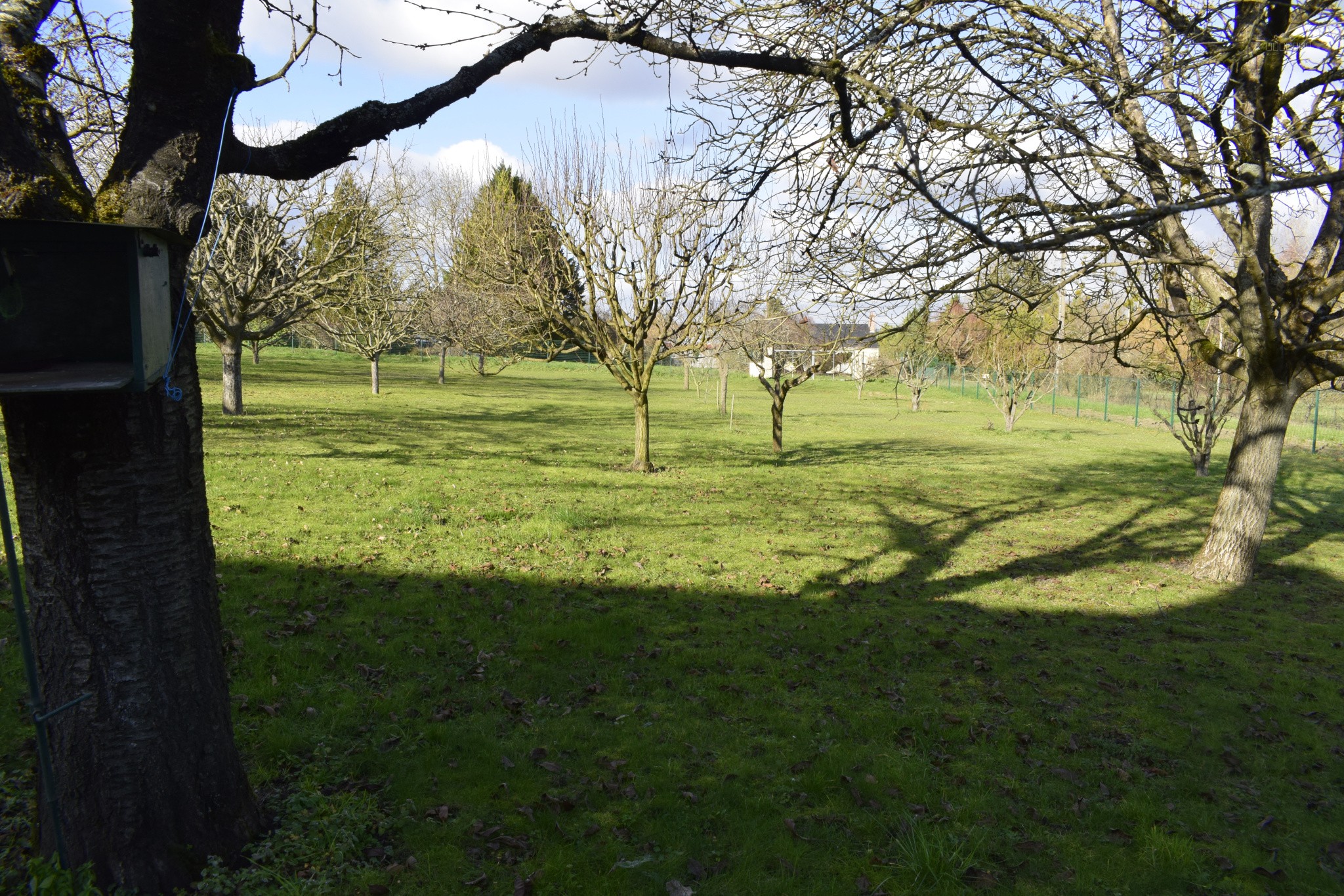 BELLE LONGERE — photo 7