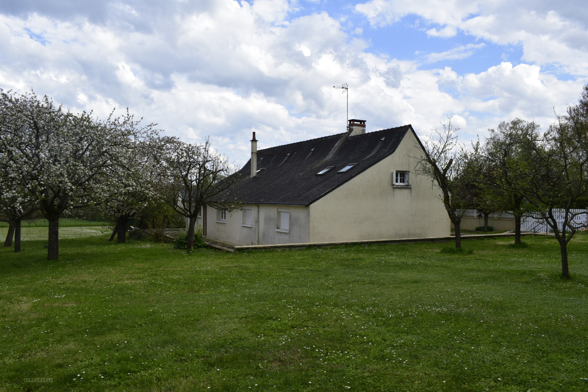 BELLE LONGERE — photo 16