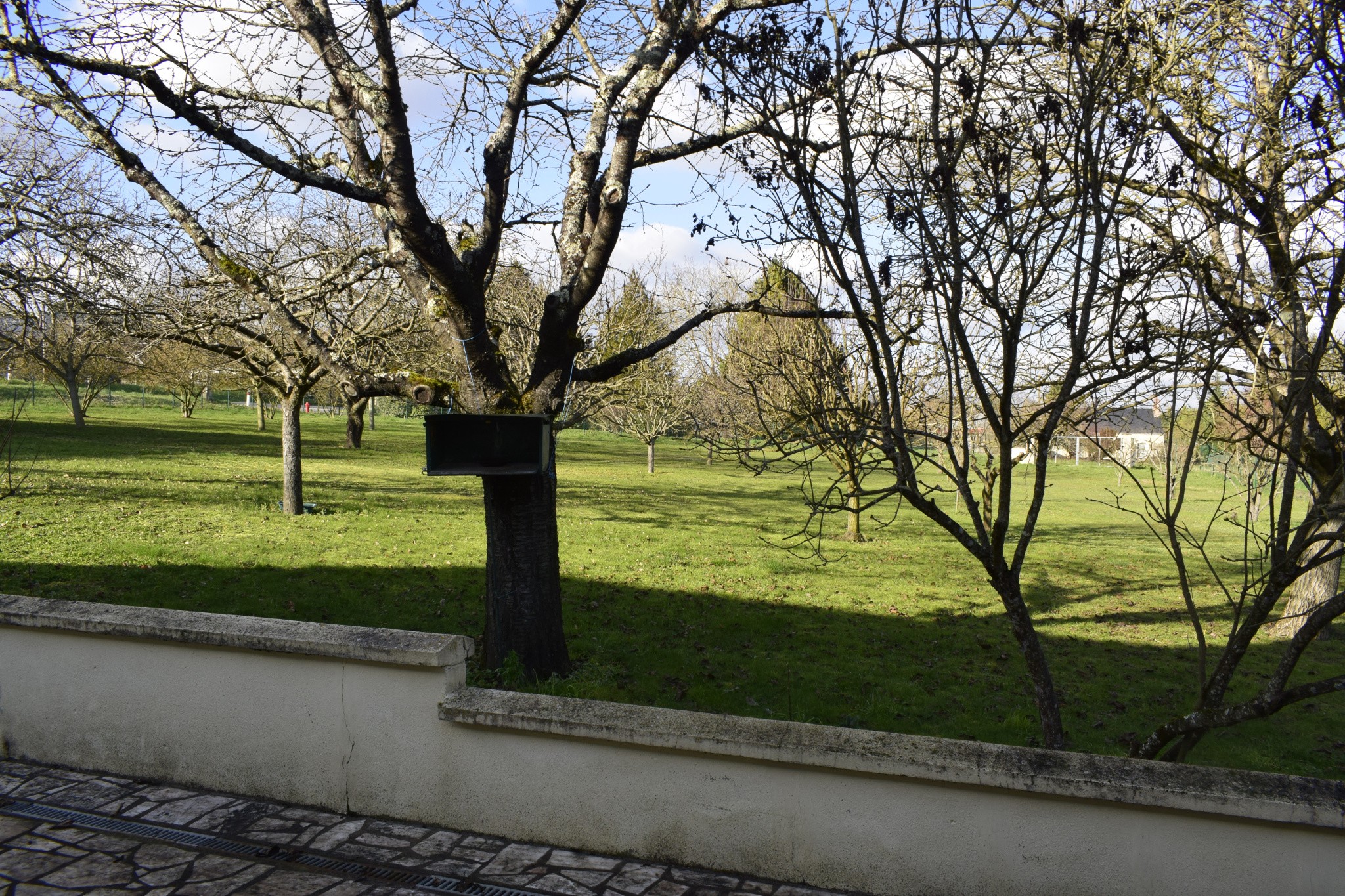 BELLE LONGERE — photo 9