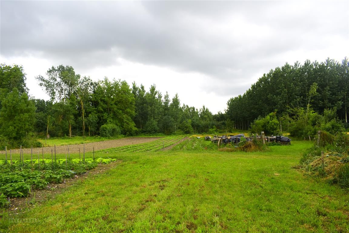 Superbe corps de ferme à finir de restaurer   Énorme potentiel ! — photo 4