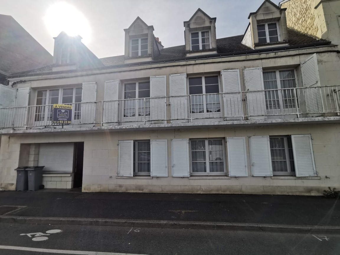 VUE EXCEPTIONNELLE - MAISON DE VILLE AU CŒUR DE CHINON — photo 16