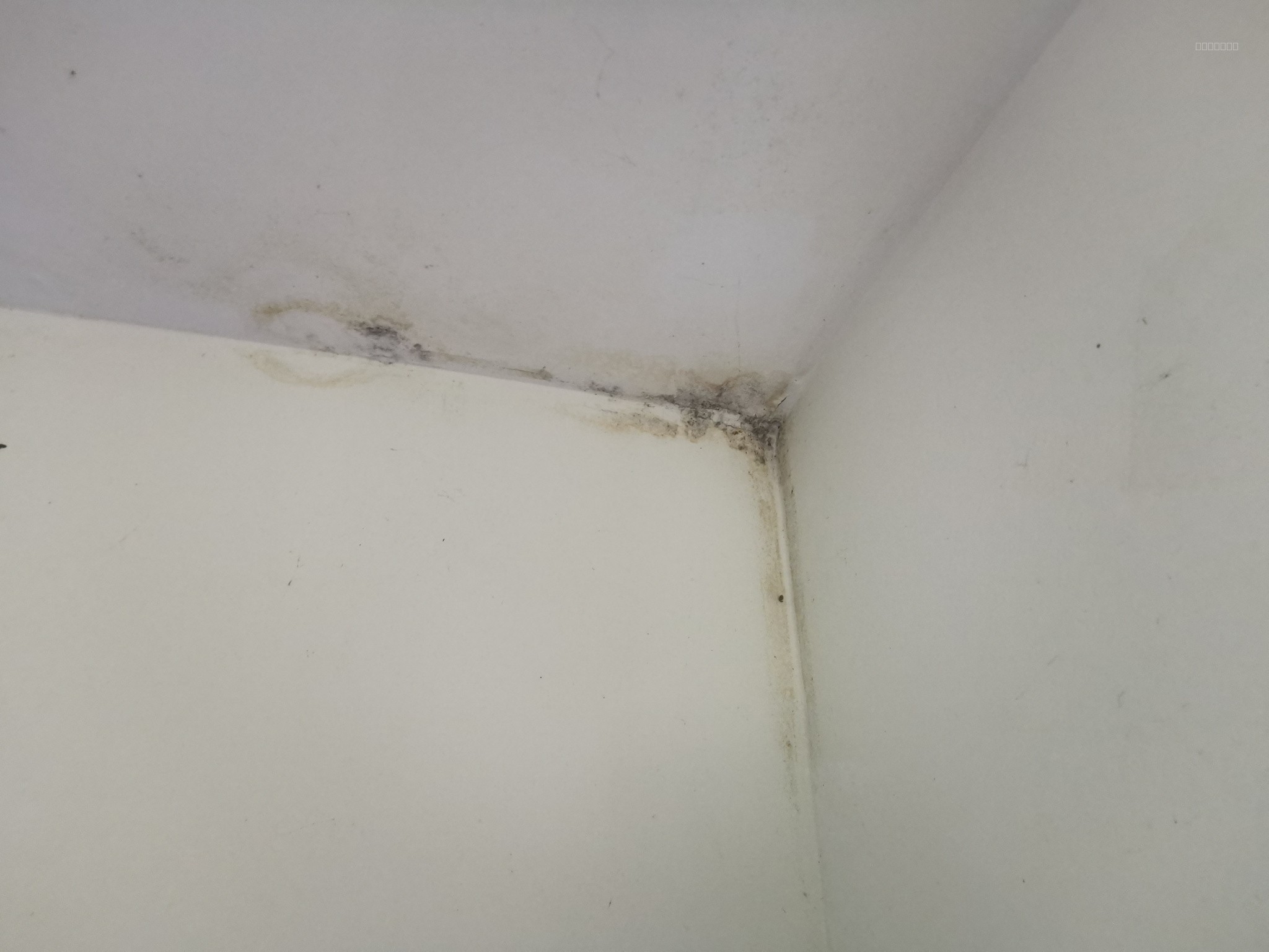 Agréable maison située dans un environnement calme, sans vis-à-vis, comprenant une belle véranda, une cuisine — photo 13