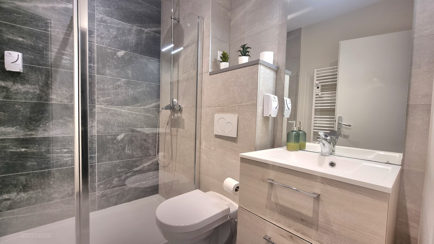 A Dole, appartement meublé T2 à louer de 33m2 — photo 4