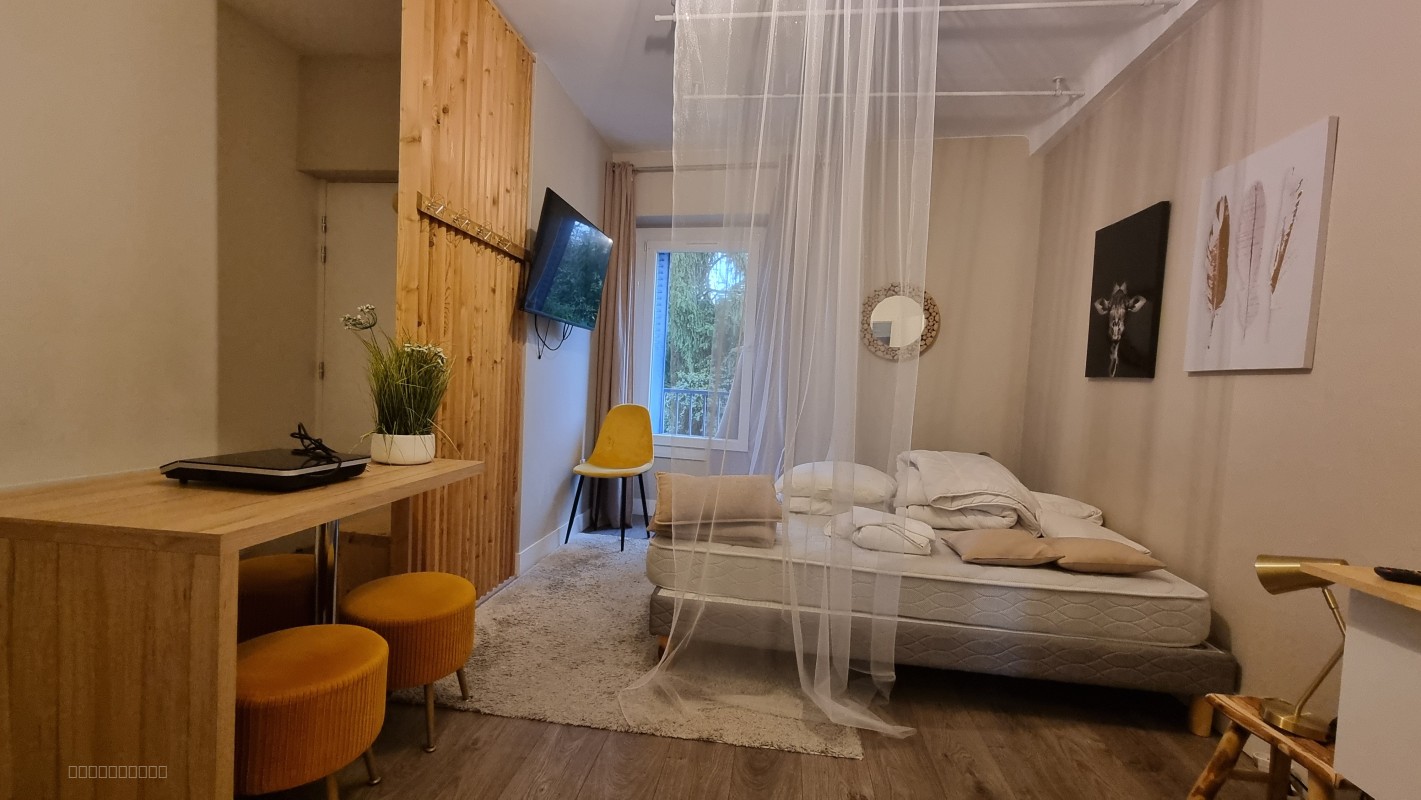 A Dole, appartement meublé T2 à louer de 33m2 — photo 2