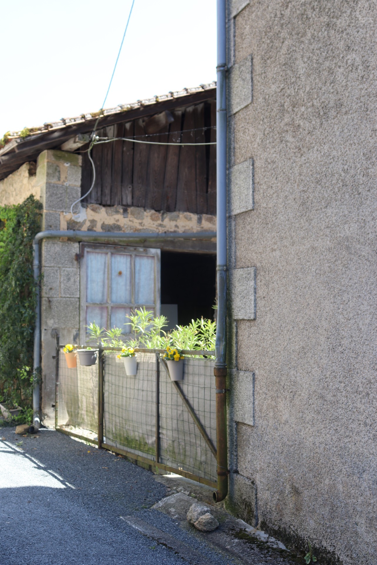 Ancienne Maison de Maître — photo 9