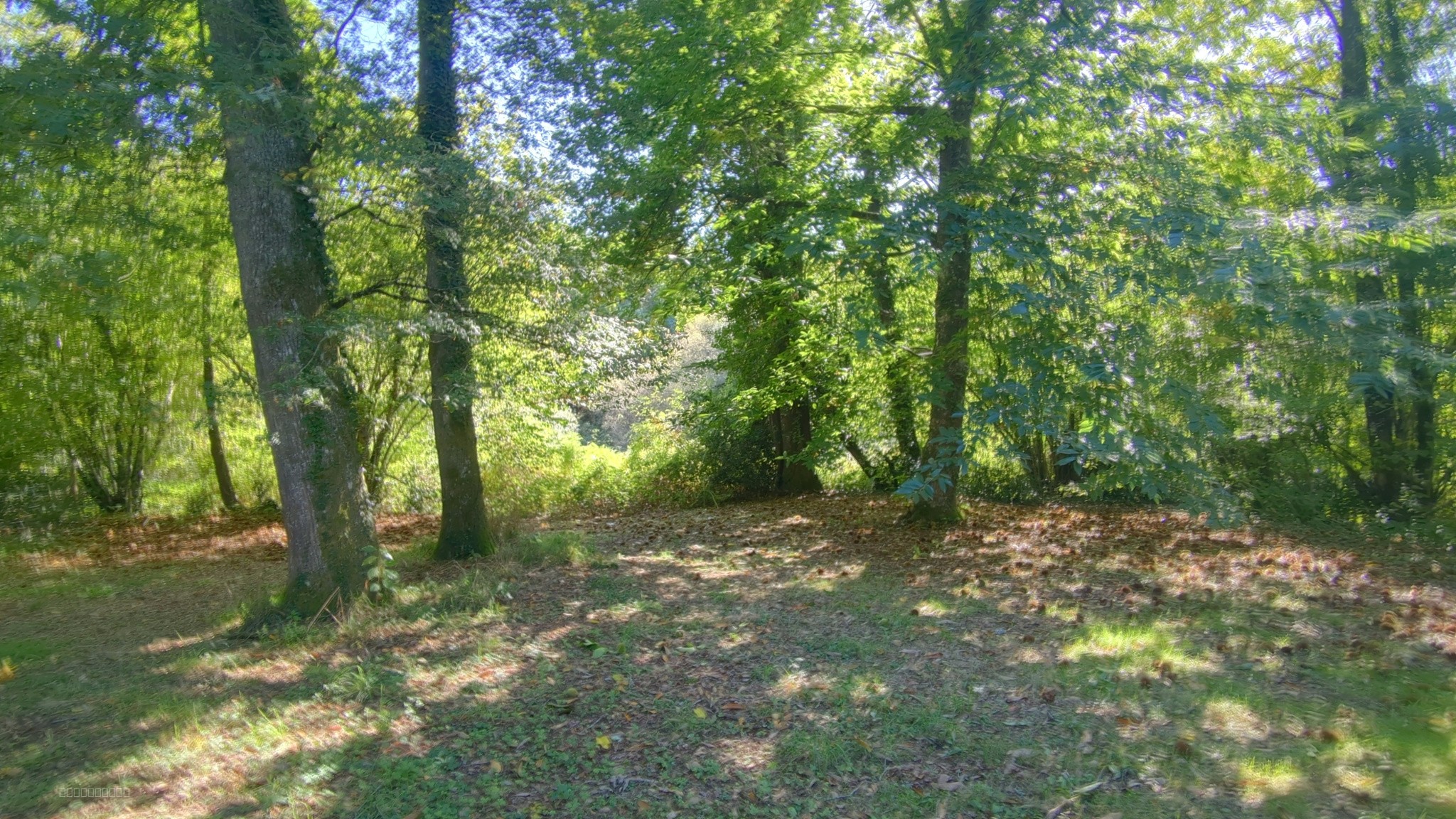 MAISON ET TERRAIN CONSTRUCTIBLE DE 3000 M2   DOURNAZAC — photo 12