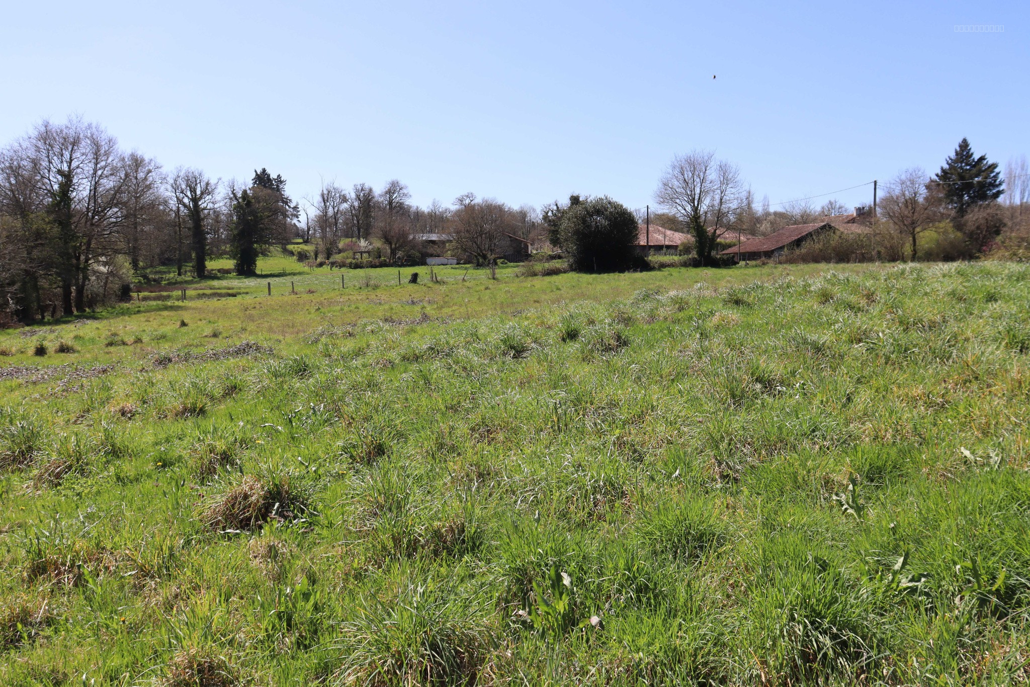 PRESIGNAC (87) - Propriété à rénover avec maison, bâtiments, et terrain de 6000m2 ! — photo 9