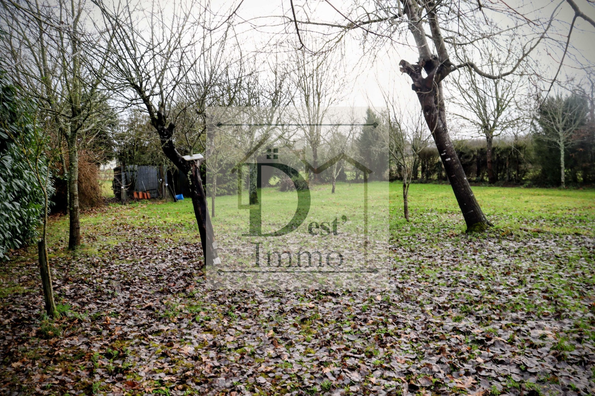 Maison de 105 m2 sur terrain de 2000 m2 - Chassenon — photo 14