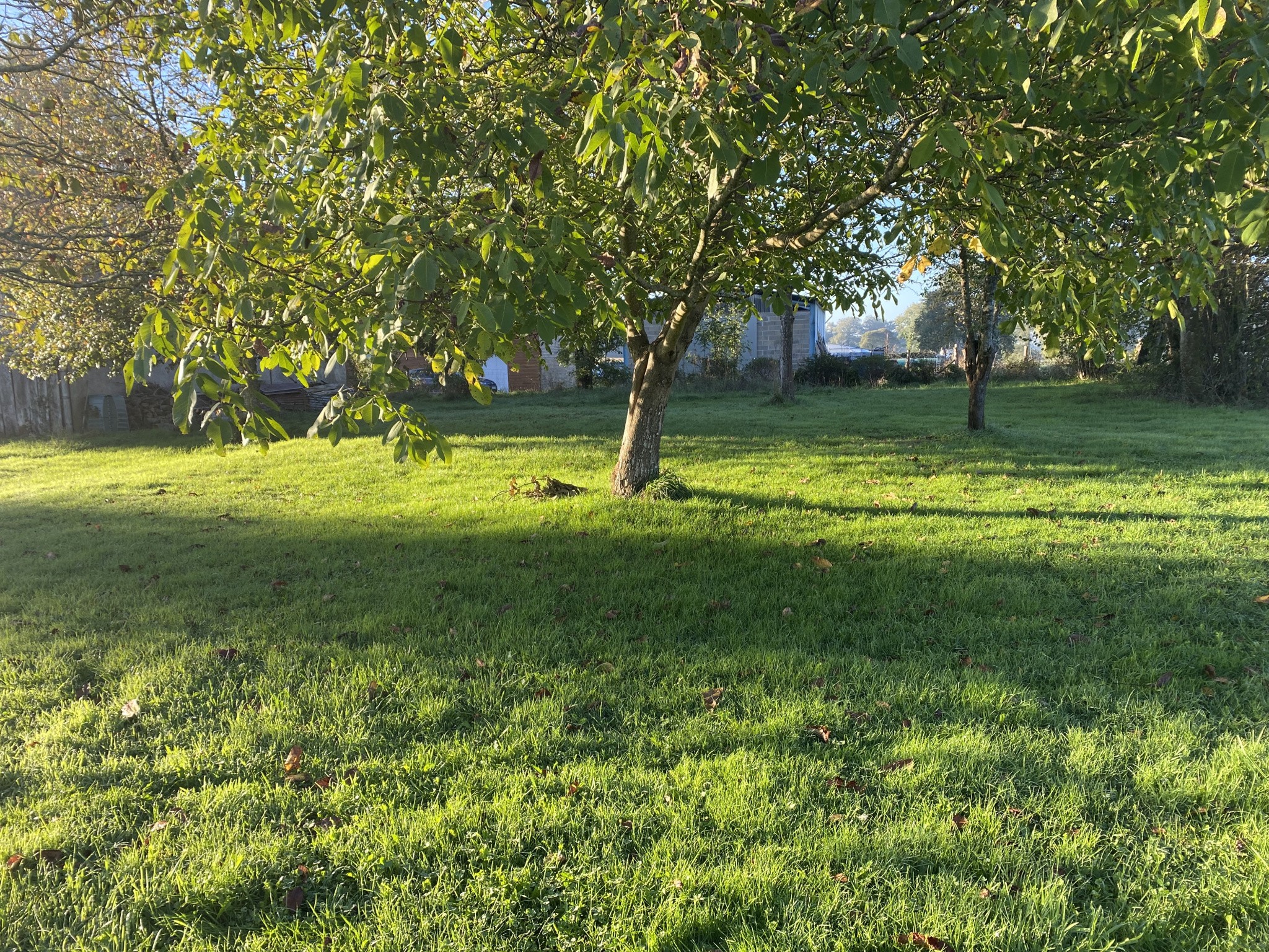 Grande grange de plus de 200m2 à Verneuil sur 2800m2 de terrain — photo 3