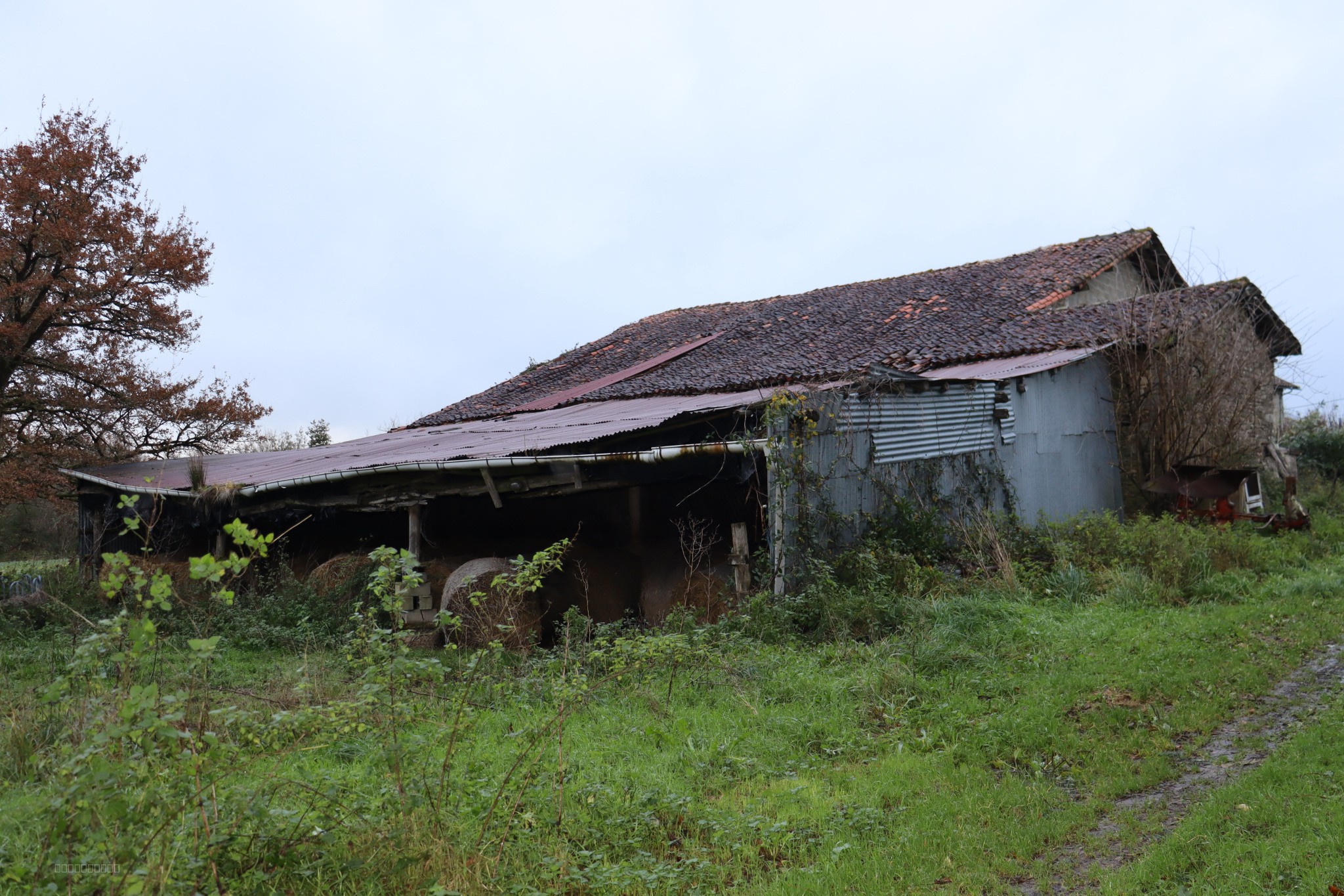 Grange — photo 2