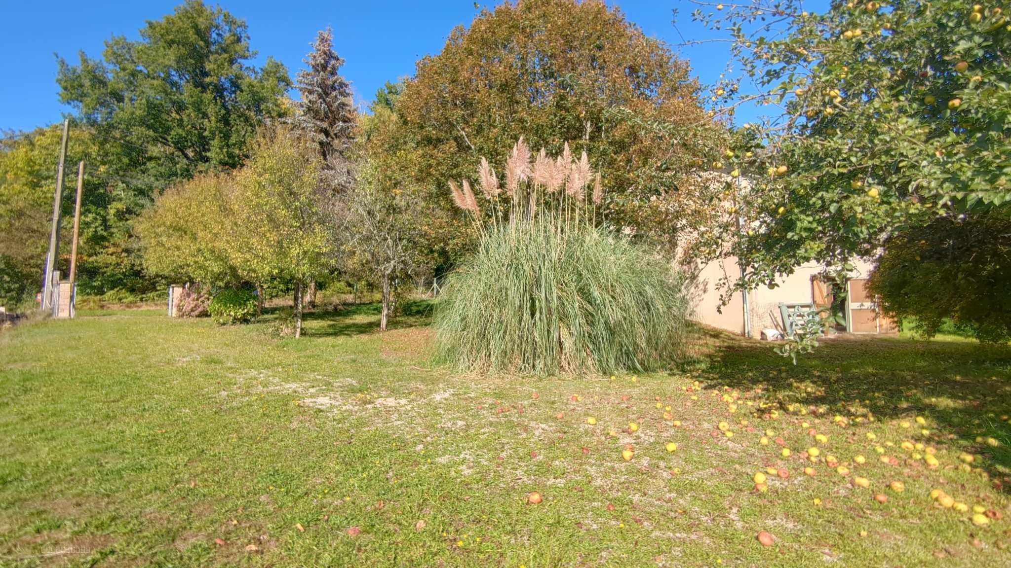 MAISON ET TERRAIN CONSTRUCTIBLE DE 3000 M2   DOURNAZAC — photo 14