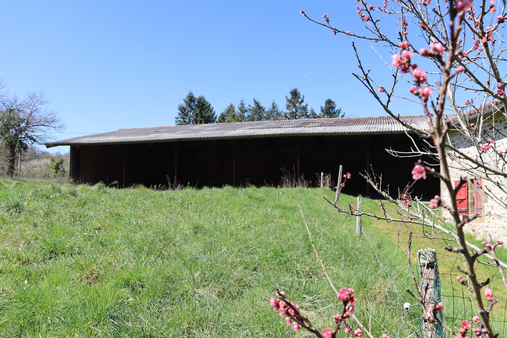 PRESIGNAC (87) - Propriété à rénover avec maison, bâtiments, et terrain de 6000m2 ! — photo 3