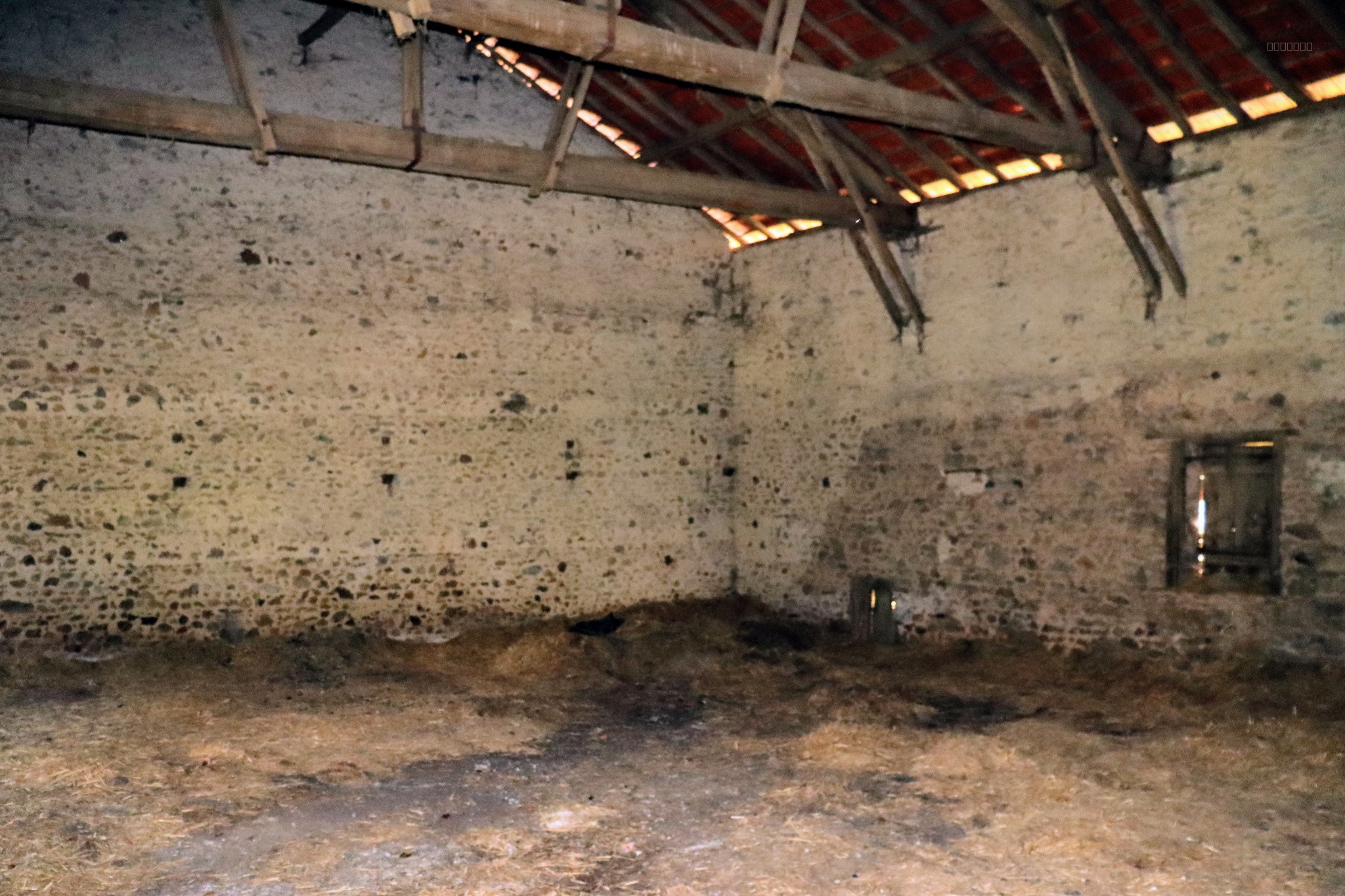 PRESIGNAC (87) - Propriété à rénover avec maison, bâtiments, et terrain de 6000m2 ! — photo 7