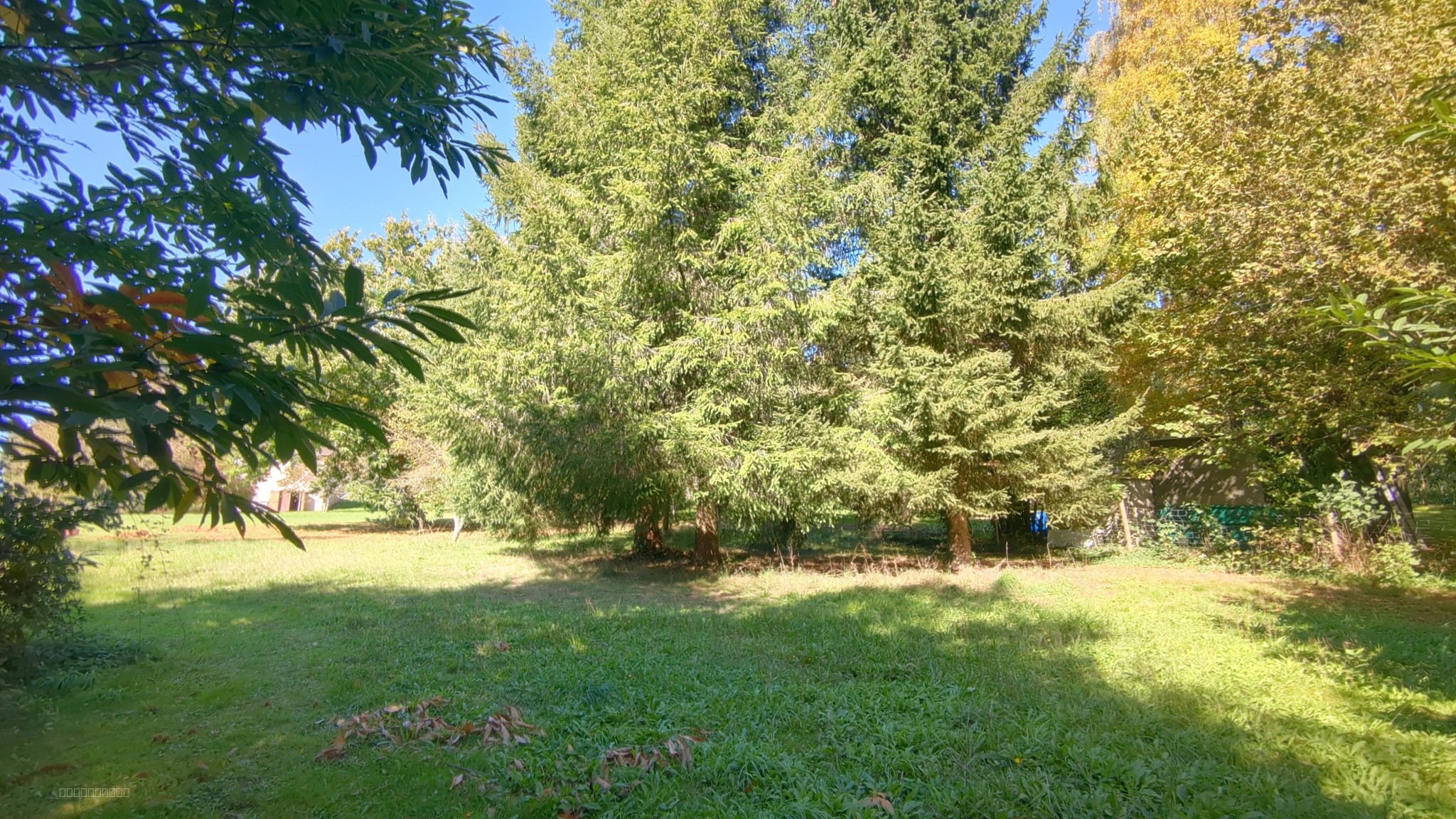 MAISON ET TERRAIN CONSTRUCTIBLE DE 3000 M2   DOURNAZAC — photo 16
