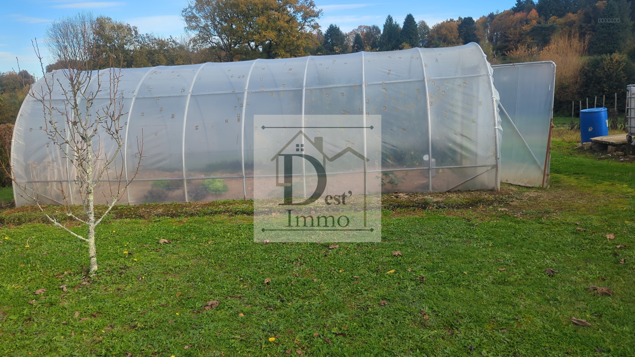 Plain-Pied d'Exception avec 5000 m2 et Atelier à Excideuil-sur-Vienne — photo 9