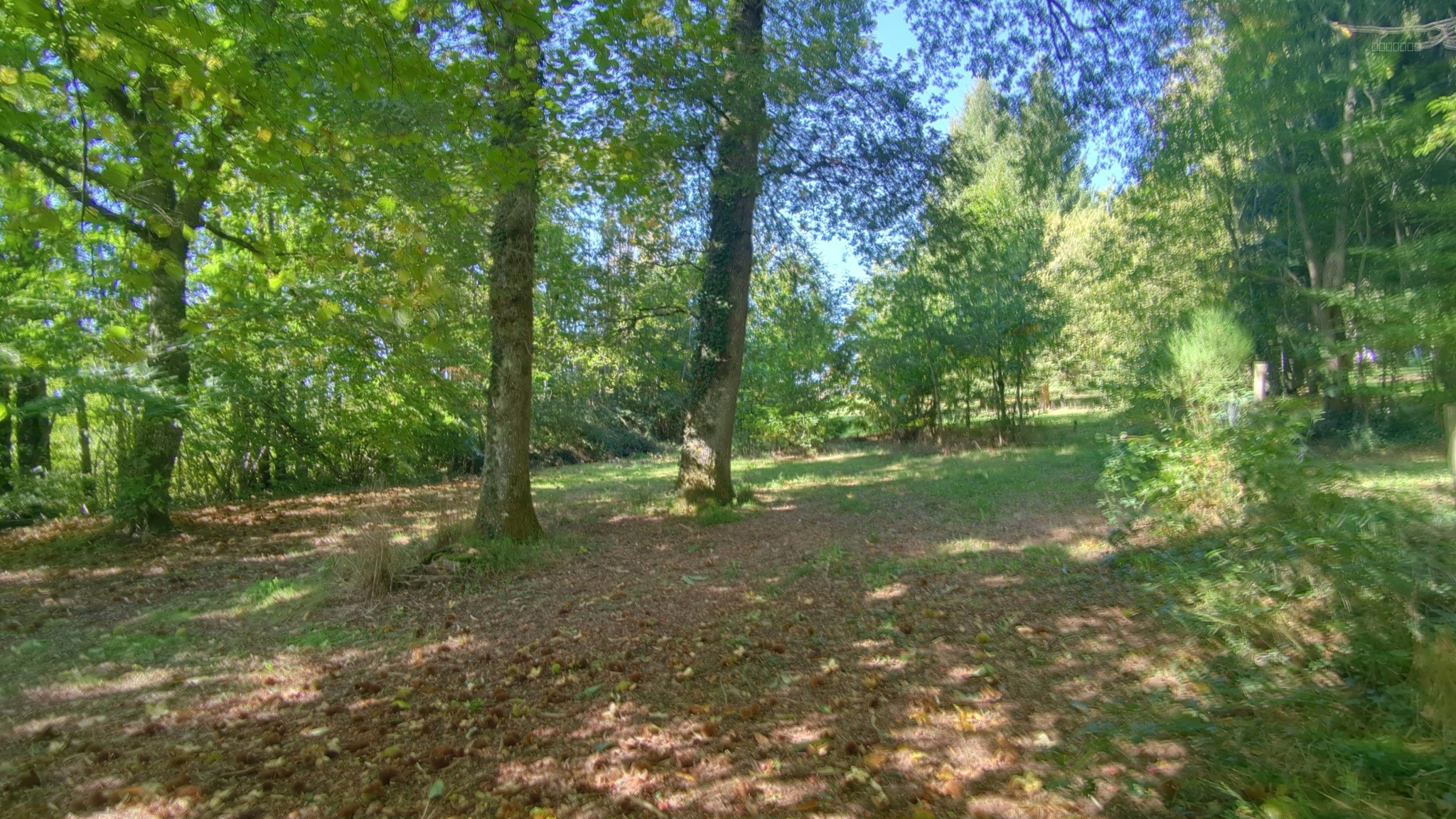MAISON ET TERRAIN CONSTRUCTIBLE DE 3000 M2   DOURNAZAC — photo 11