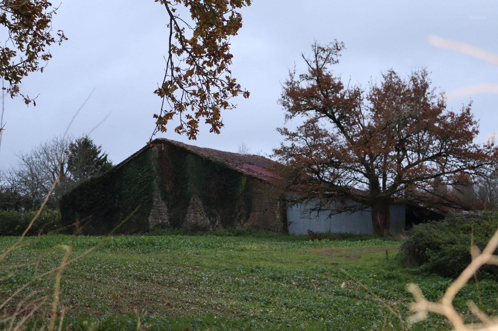 Grange — photo 3