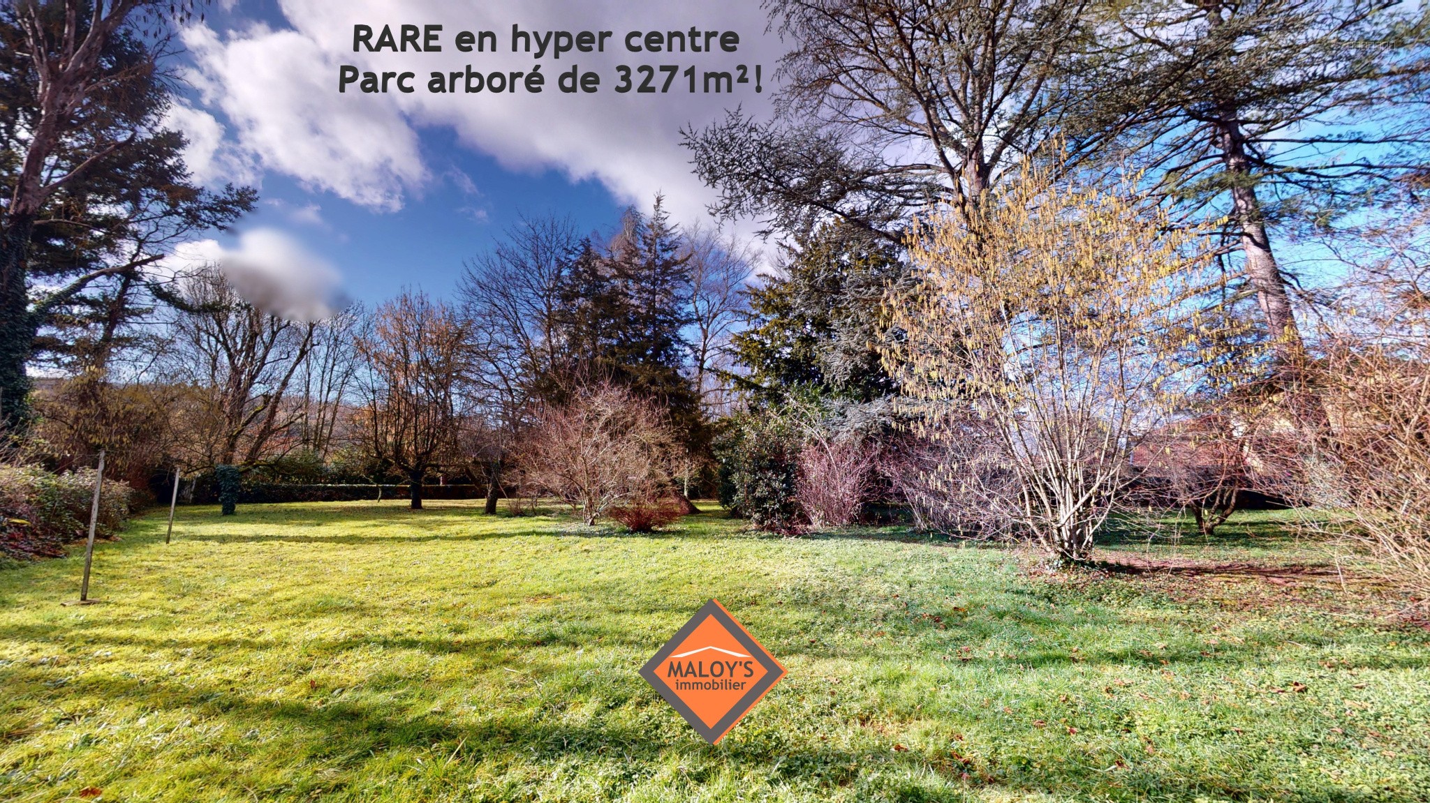 EXCLUSIVITE - À VENDRE   IMMEUBLE DE RAPPORT   6 APPARTEMENTS LOUÉS   285 m2 HABITABLES   PARC Arboré 3 271 m2 — photo 3