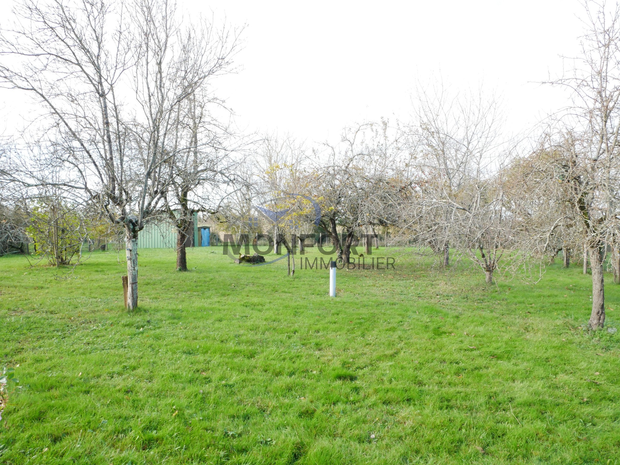 Maison familiale au calme   10 minutes de Marmande, grand terrain arboré — photo 20