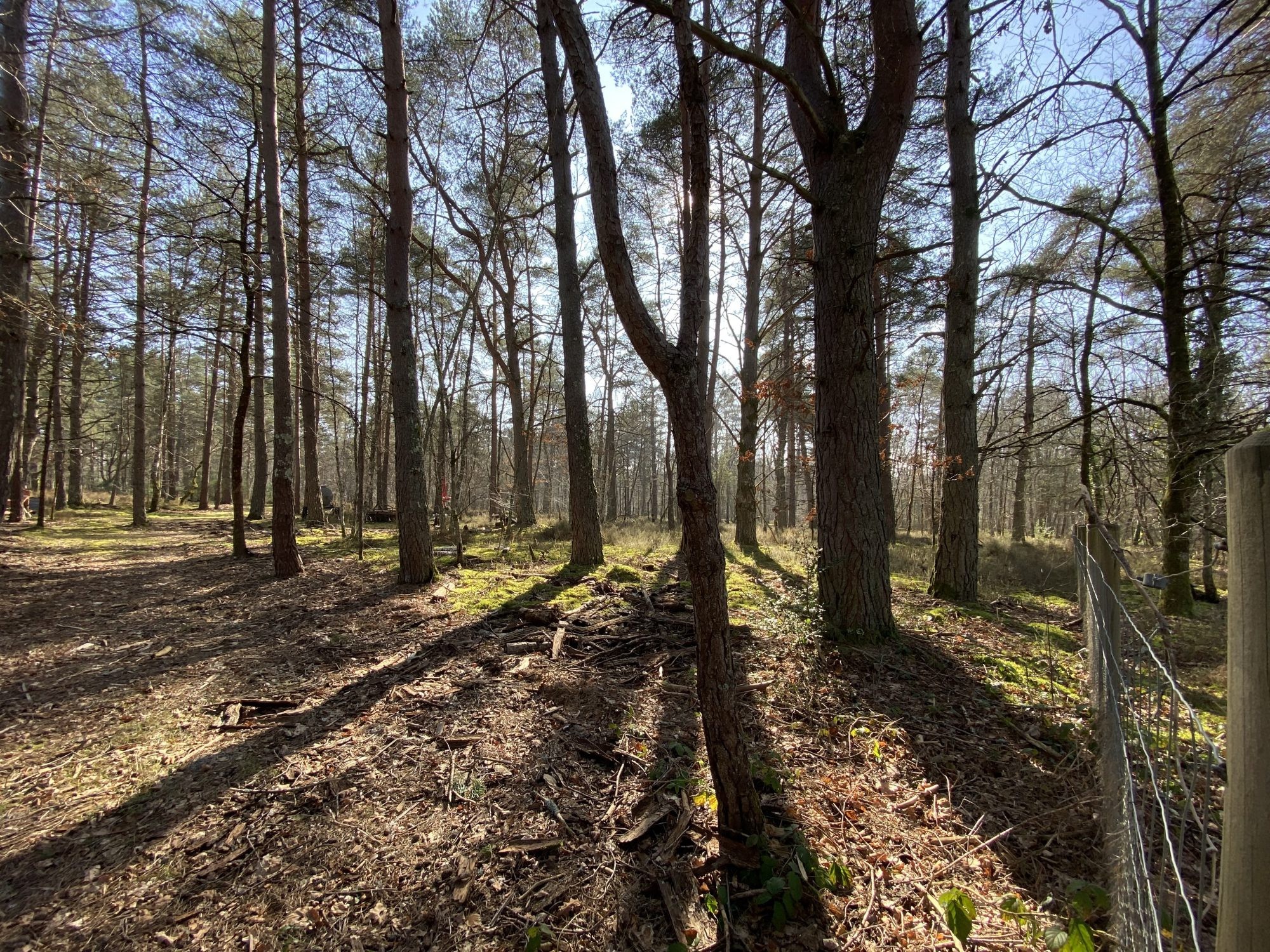Propriété solognote - Nançay — photo 2