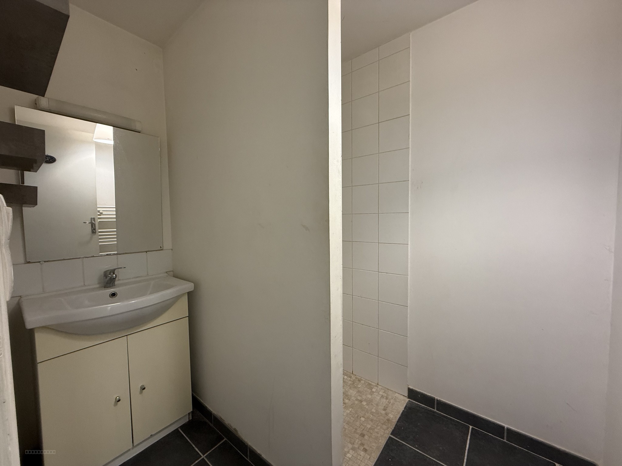 APPARTEMENT CENTRE-VILLE SALBRIS — photo 4
