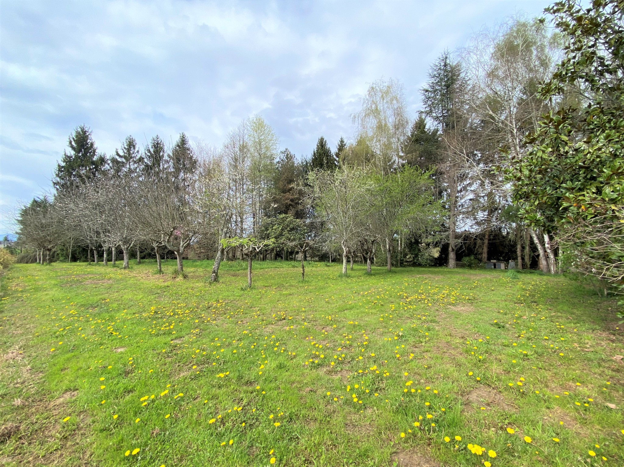 8 min de Monein Centre — photo 10