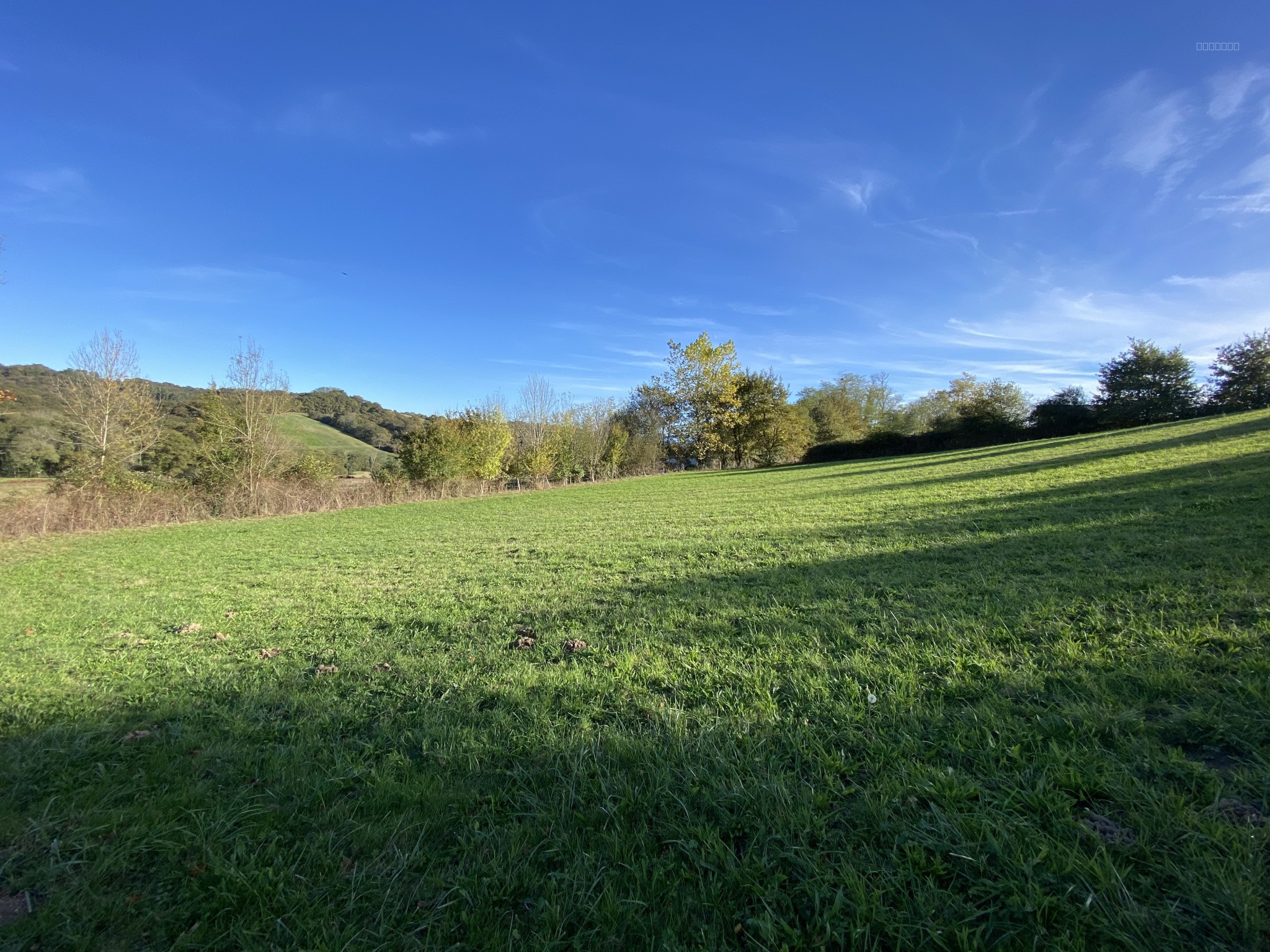 Aristimmo - terrain à bâtir 4000m2 — photo 3
