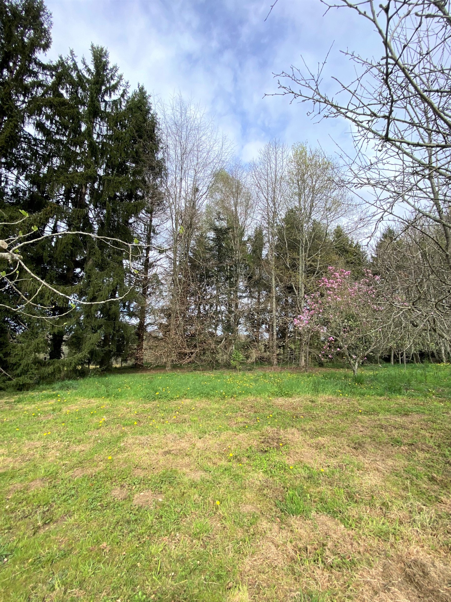 8 min de Monein Centre — photo 9