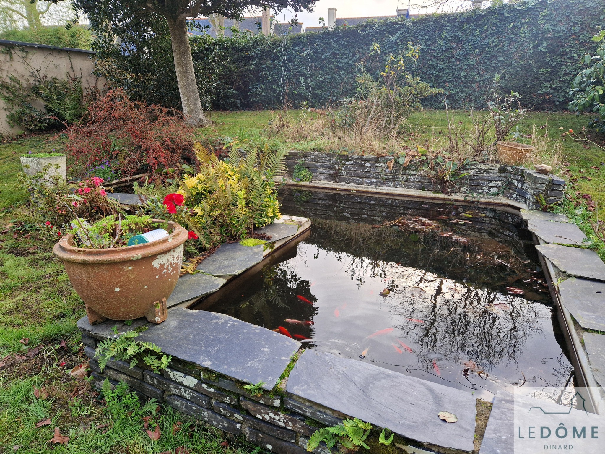 Maison à vendre à Dinard Saint-Énogat Grande maison de plain pied avec jardin — photo 7