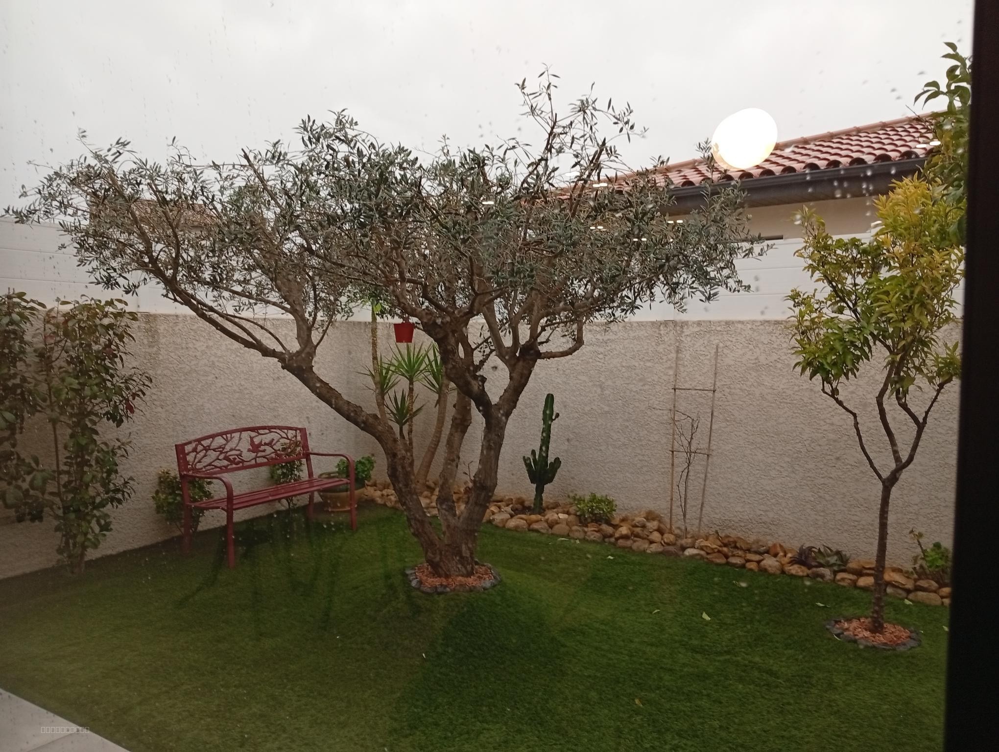 Pia - Villa  plain pied 105 m2 - 4 pièces à 265000 € — photo 16
