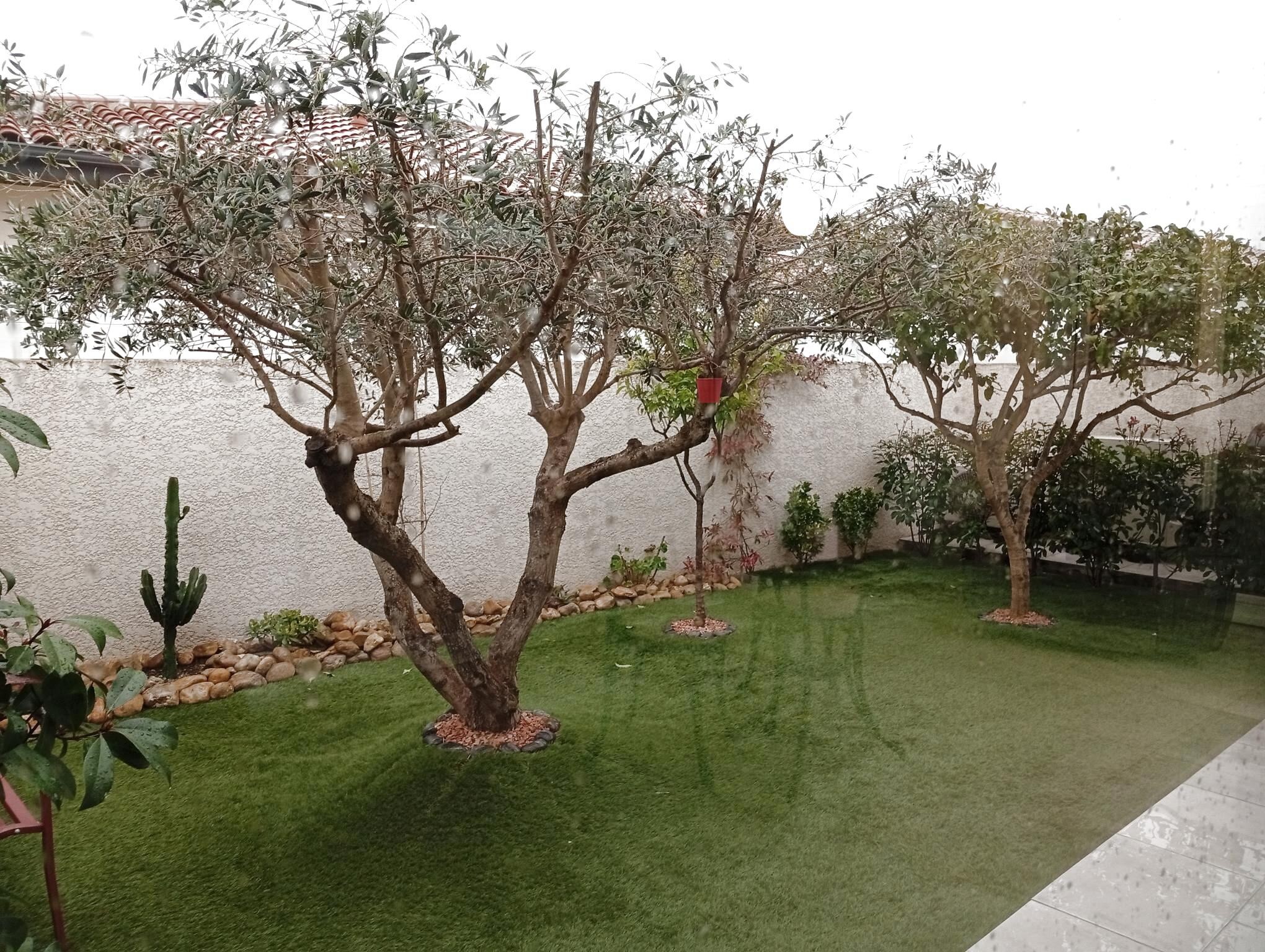 Pia - Villa  plain pied 105 m2 - 4 pièces à 265000 € — photo 5