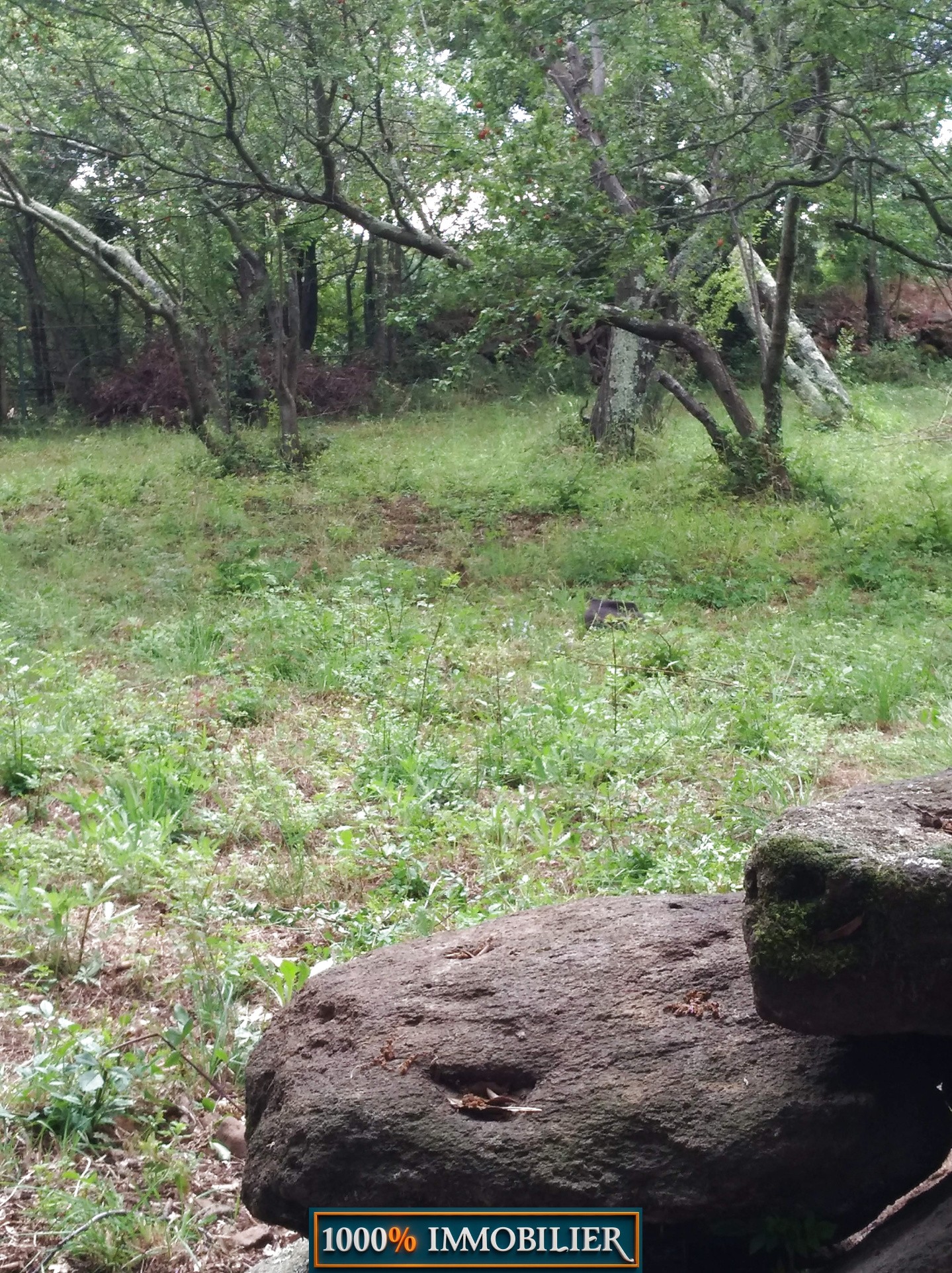 Très beau terrain de loisir ( type agricole ) — photo 3