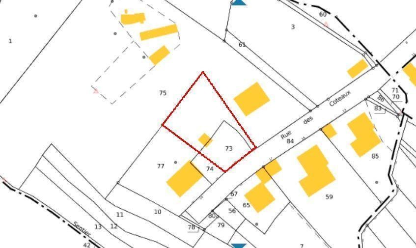 EXCLUSIF - Longeville Les Metz - Situation excepti — photo 4