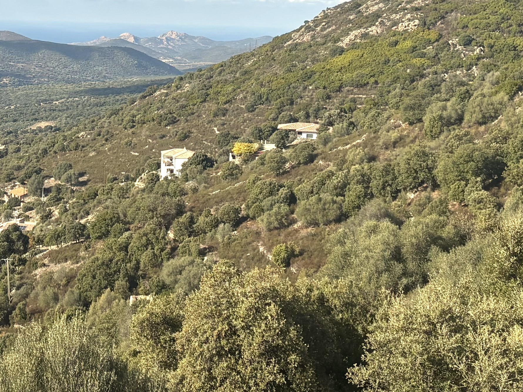 Terrain à vendre   Pietralba (20218) — photo 2