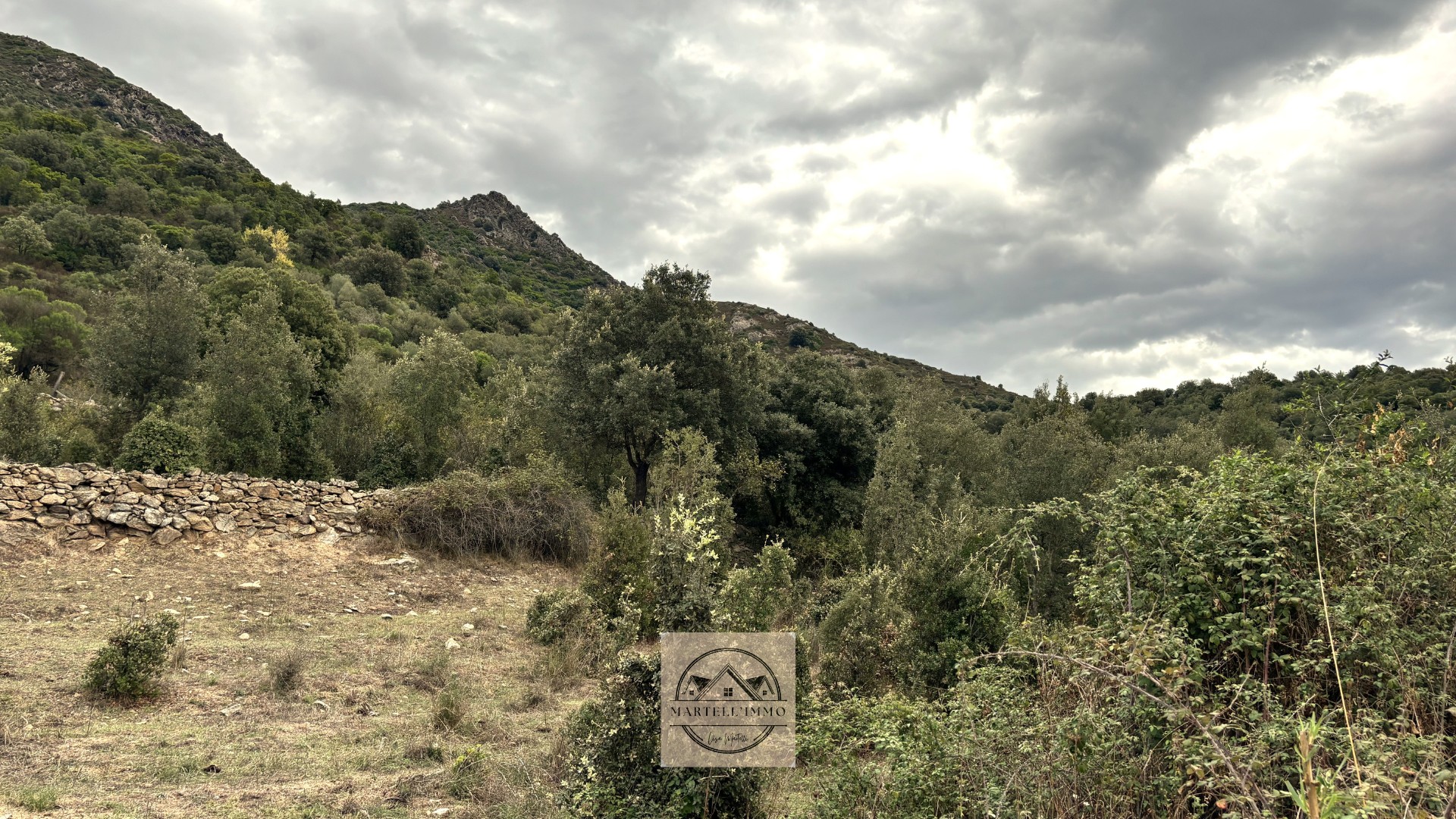 Terrain à vendre   Canavaggia (20235) — photo 3