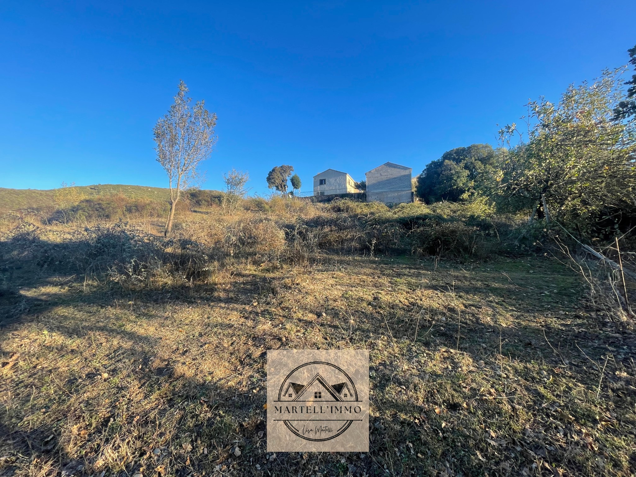 PONTE NOVU - Magnifique terrain à vendre — photo 2